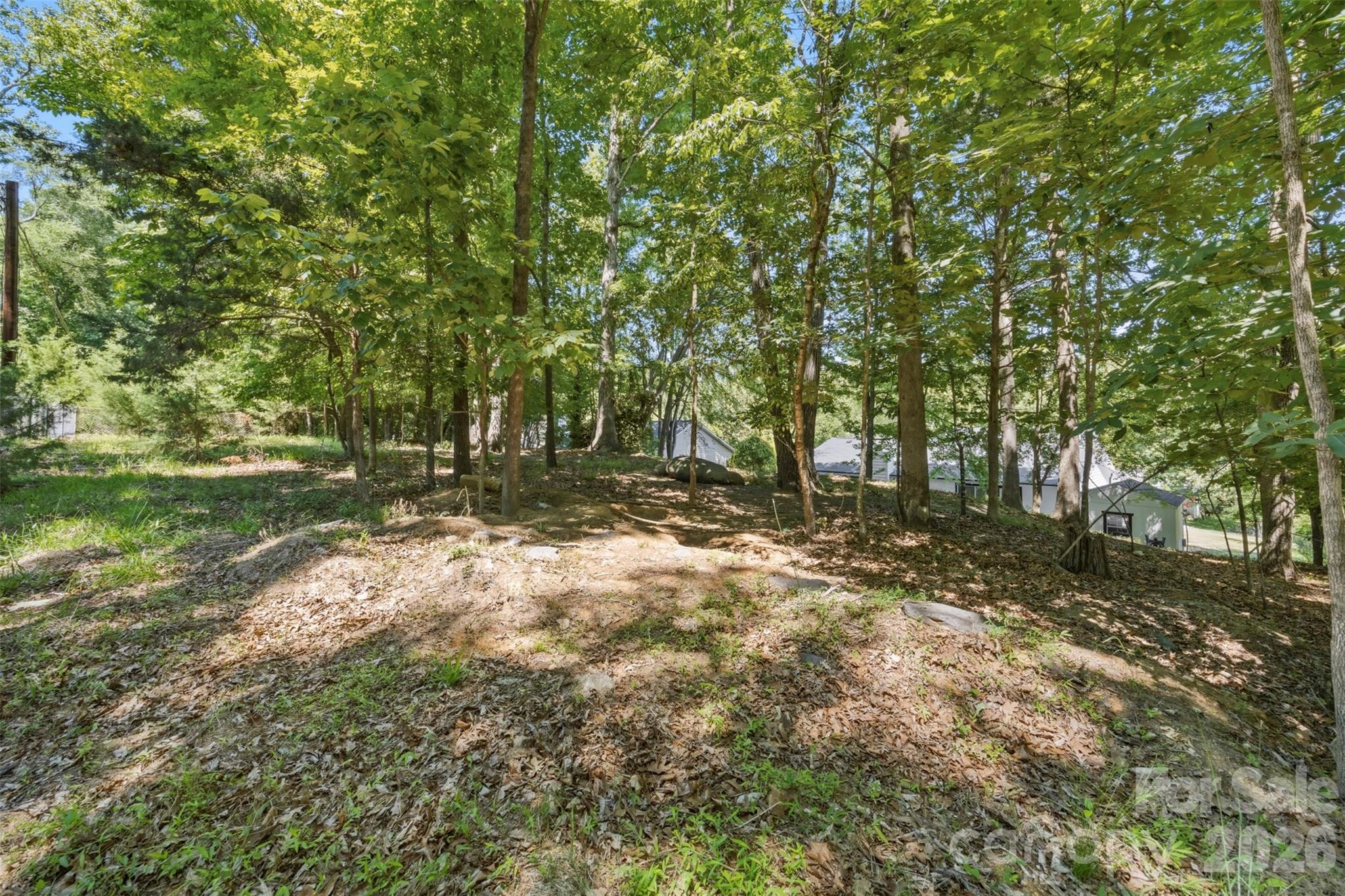 9524 Rainbow Forest Drive — Charlotte
