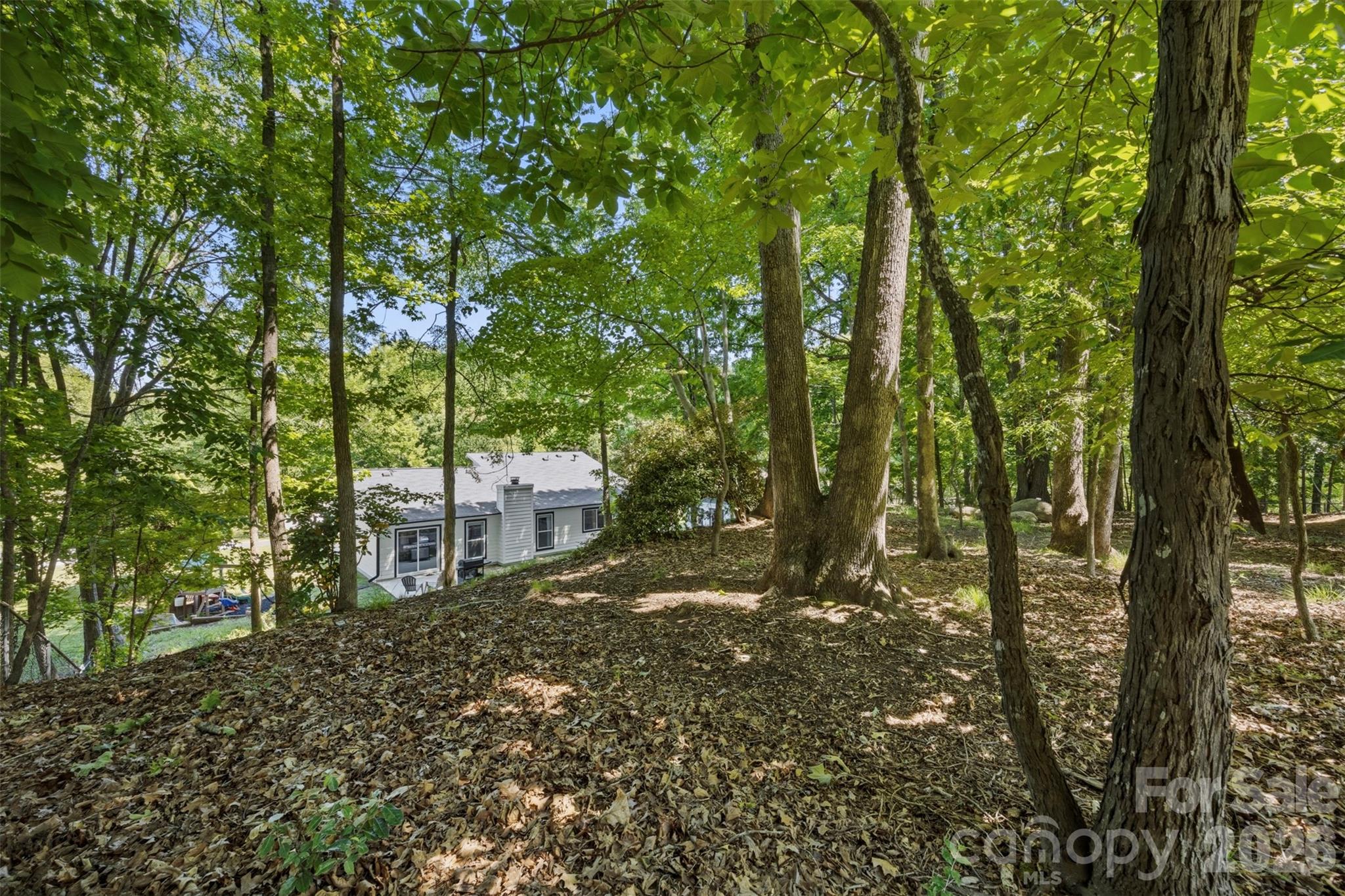 9524 Rainbow Forest Drive — Charlotte