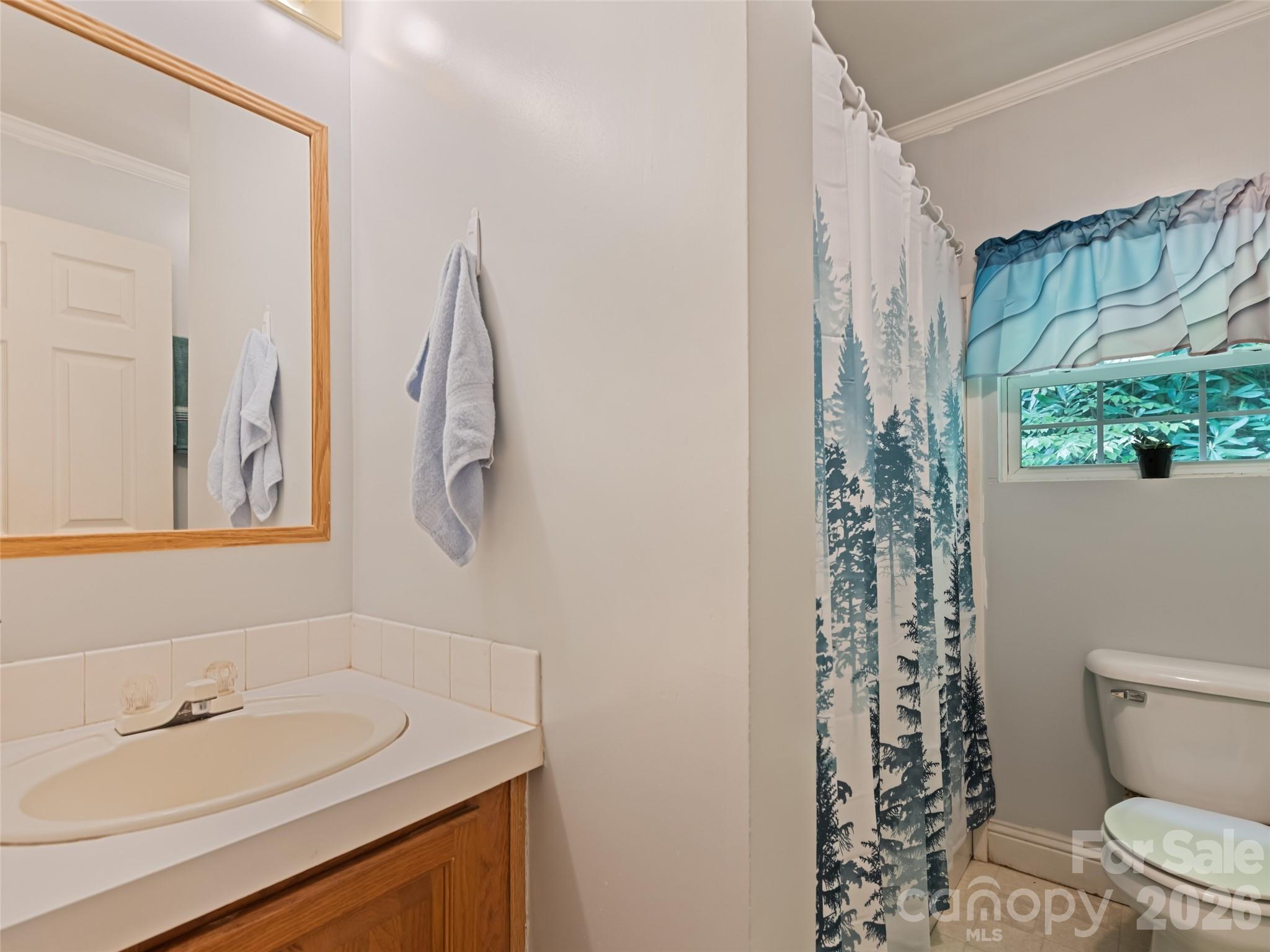 122 Mastiff Hollow Drive — Waynesville