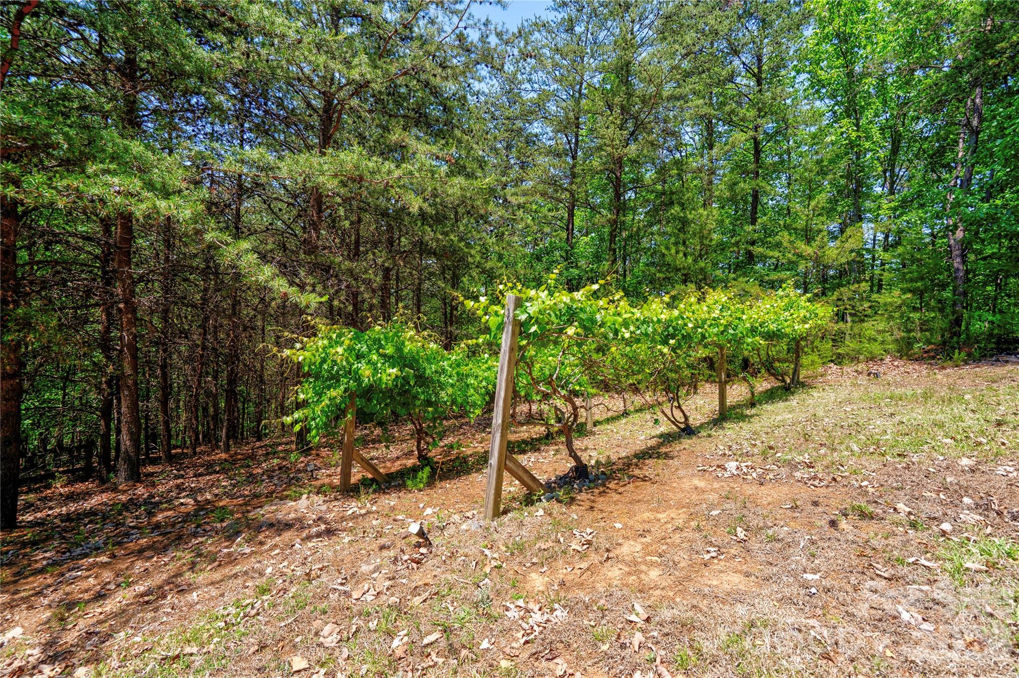 389 Woodgate Drive — Bostic