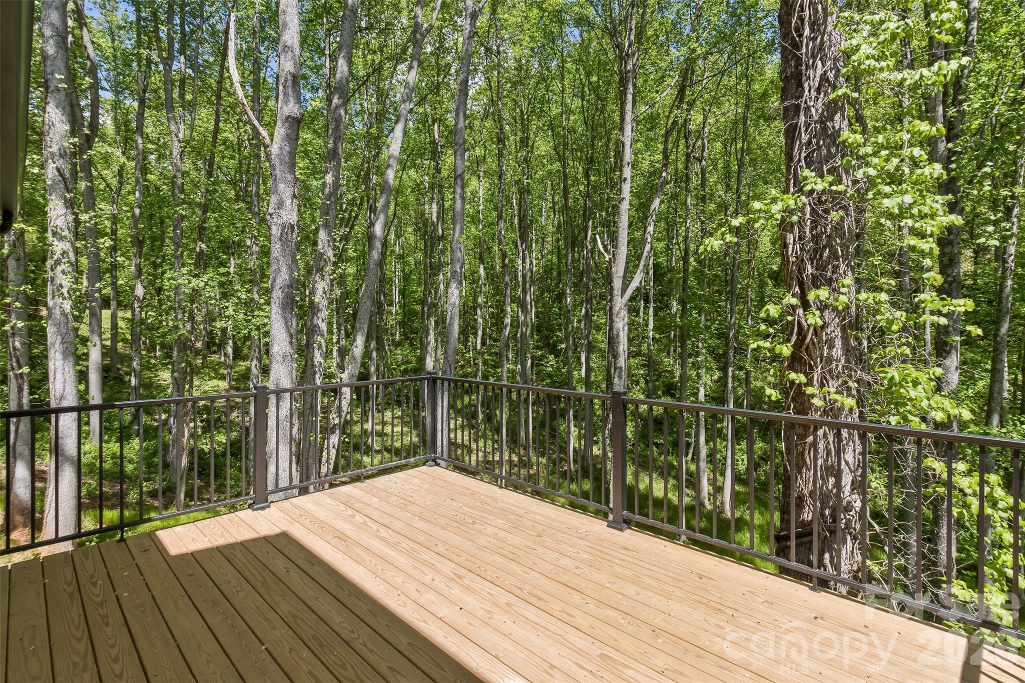 61 Bamboo Trail — Candler