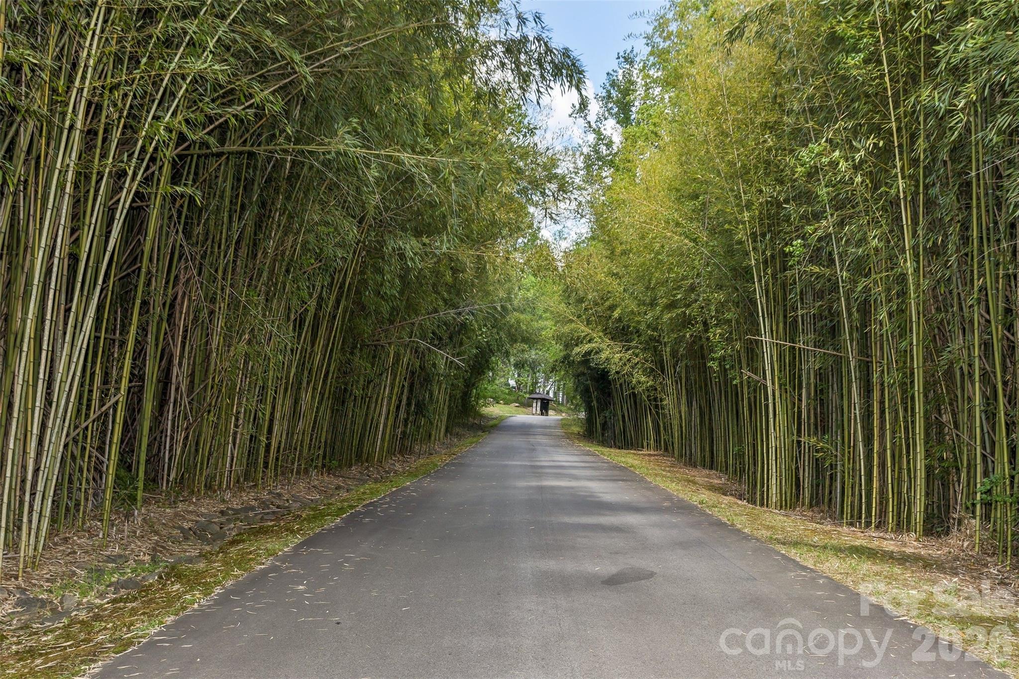 61 Bamboo Trail — Candler