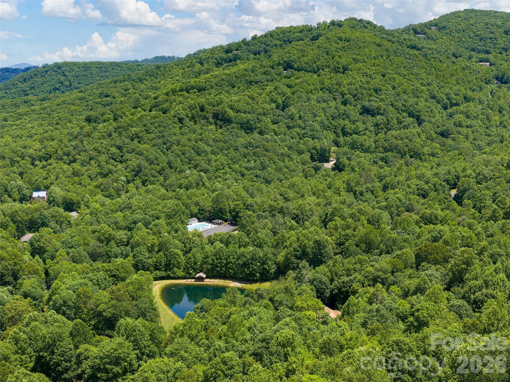 48 Smokemont Drive — Arden
