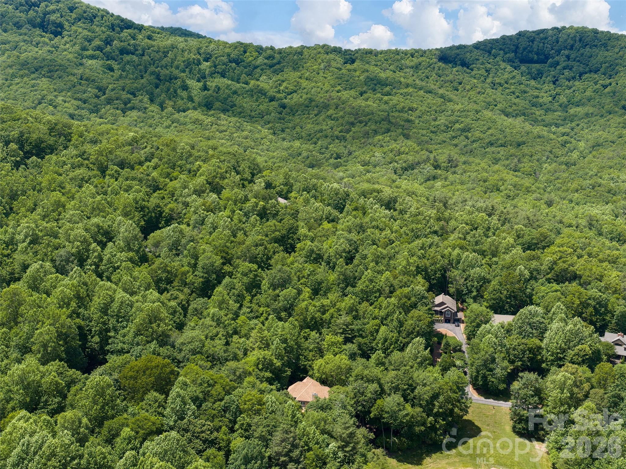 48 Smokemont Drive — Arden