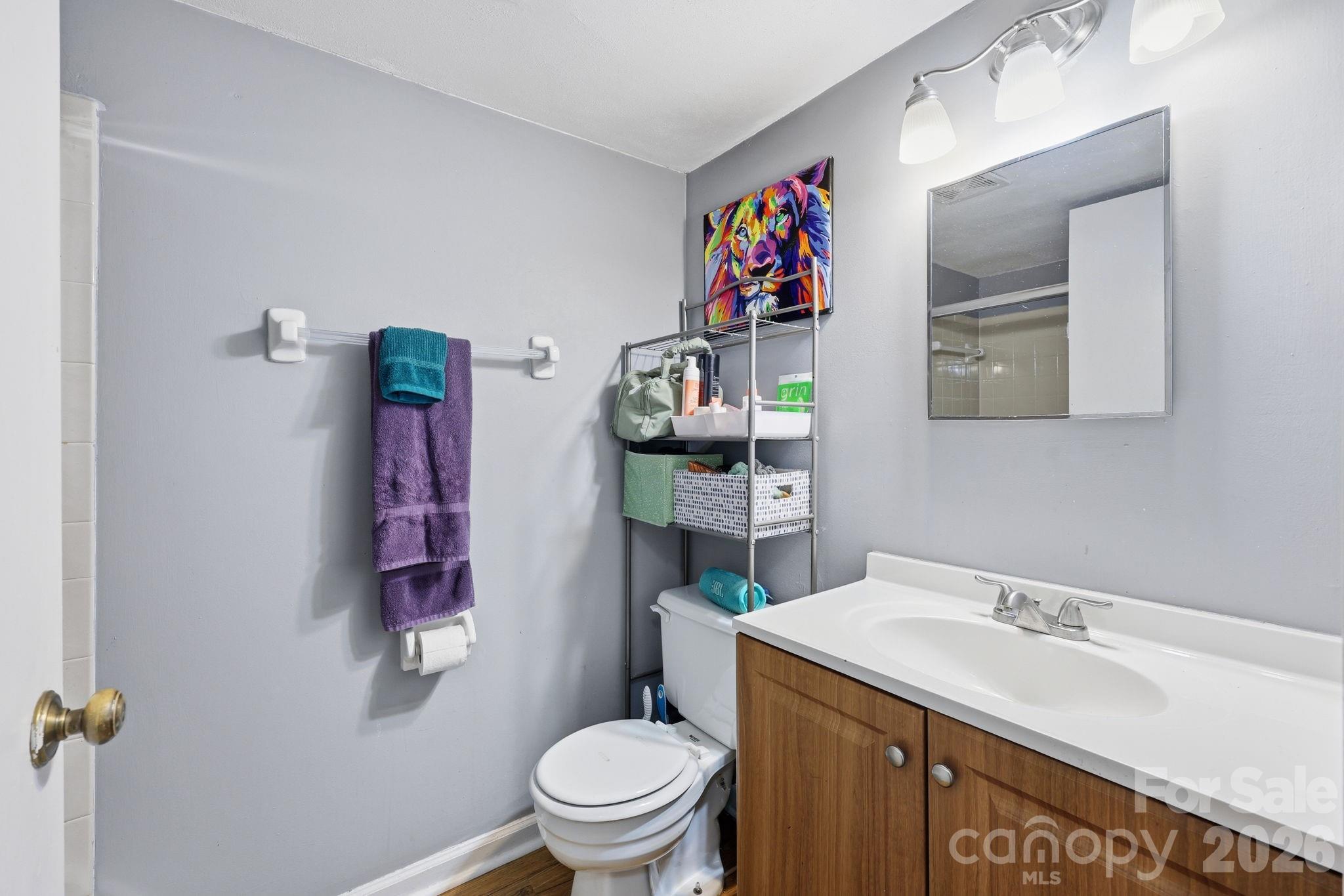 9501 Shannon Green Drive — Charlotte