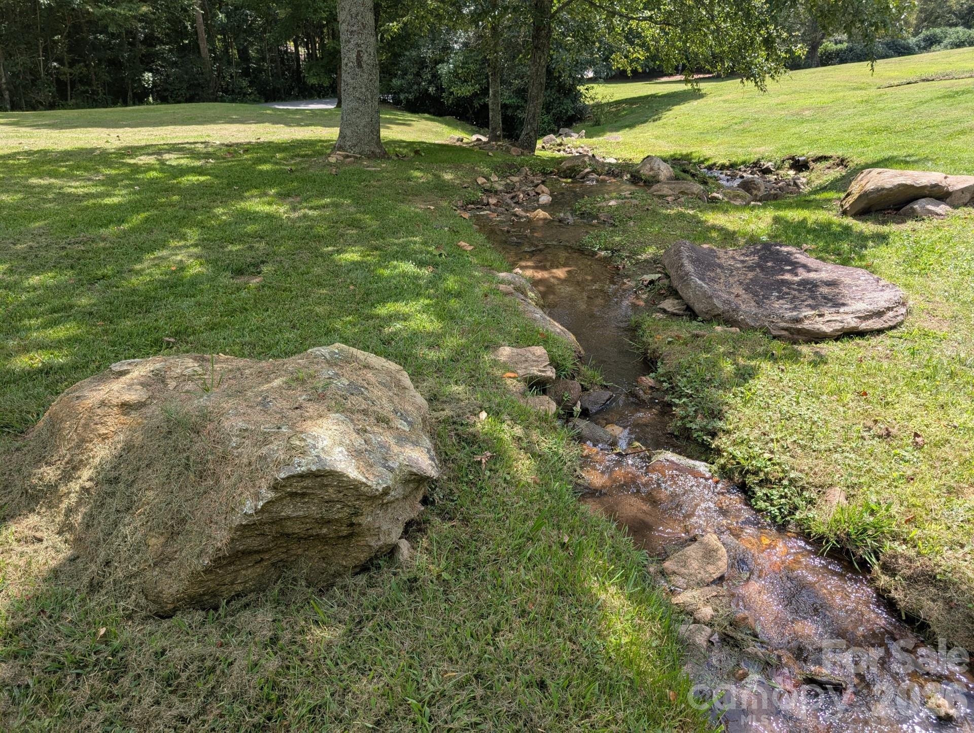 96 Buckeye Branch Drive — Clyde