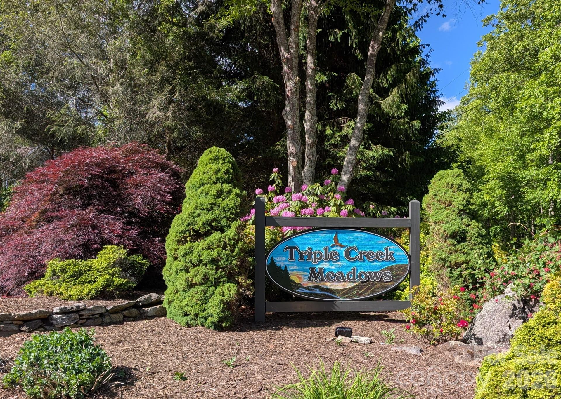 96 Buckeye Branch Drive — Clyde