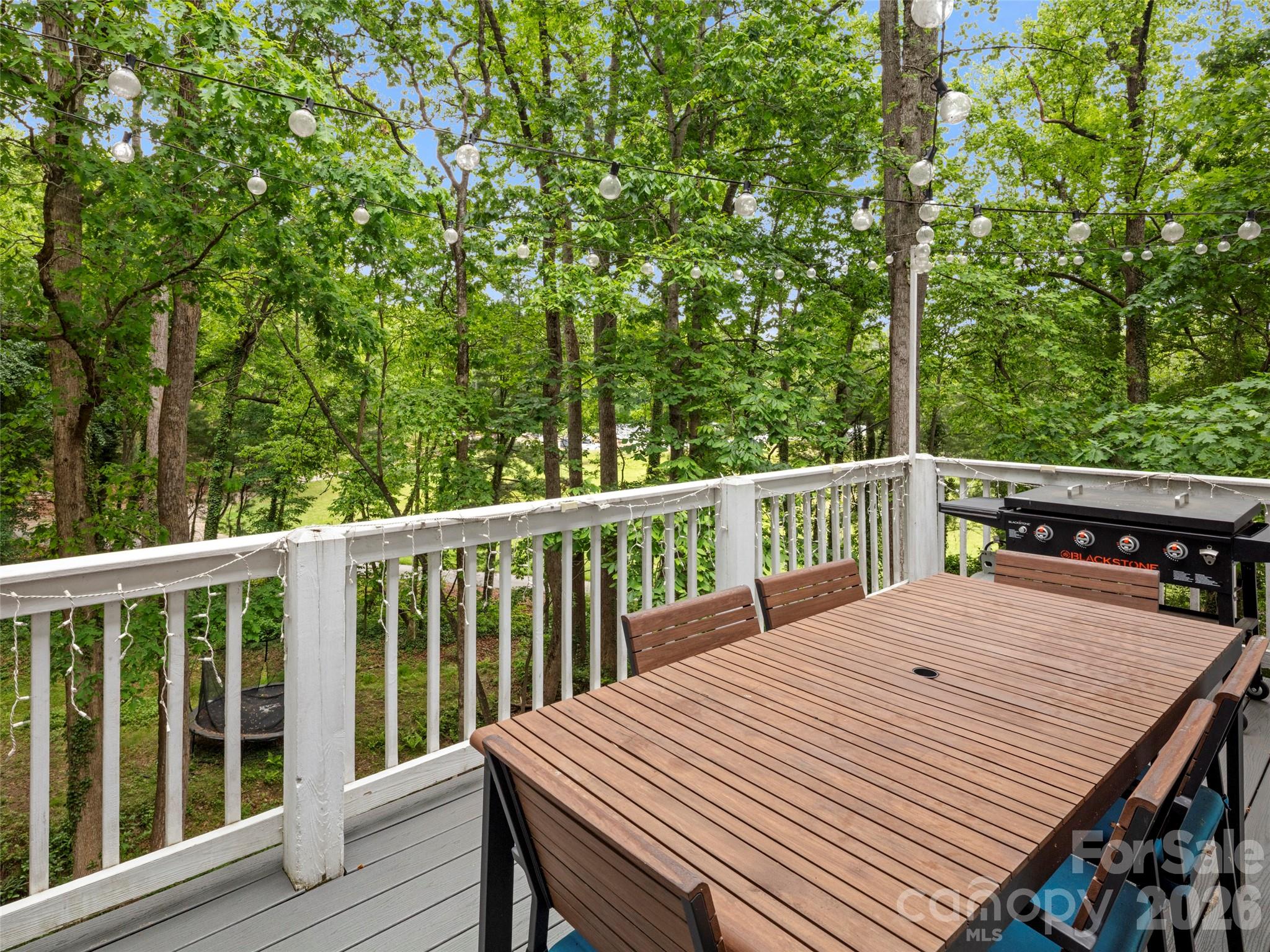 1130 New Castle Court — Asheville
