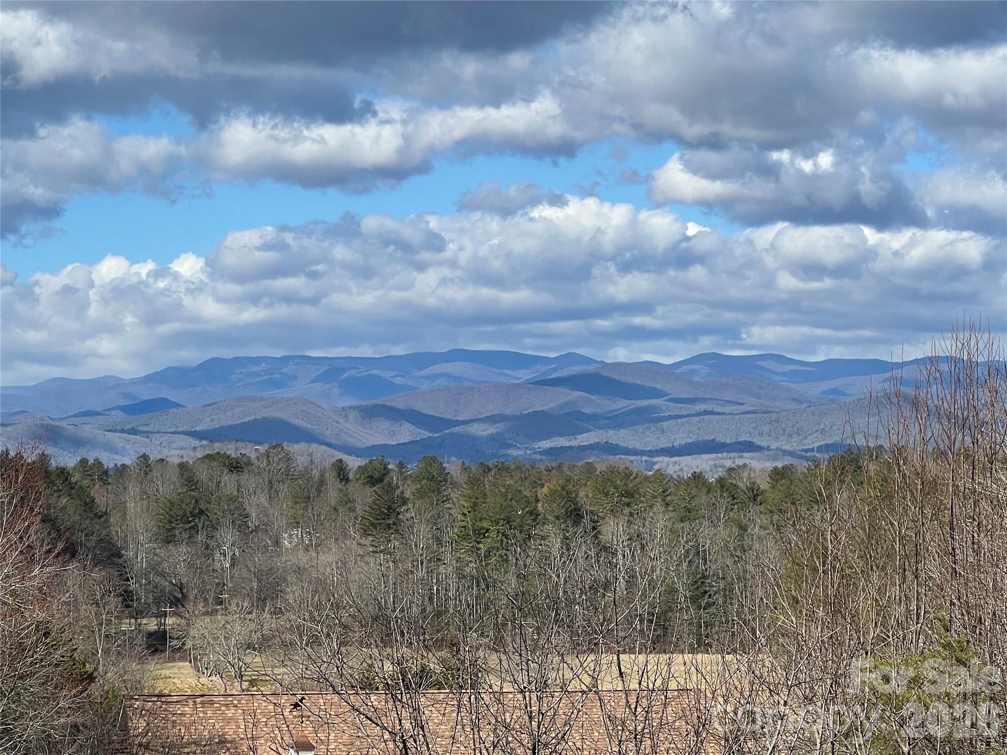 28 Tudor Crescent Court — Hendersonville