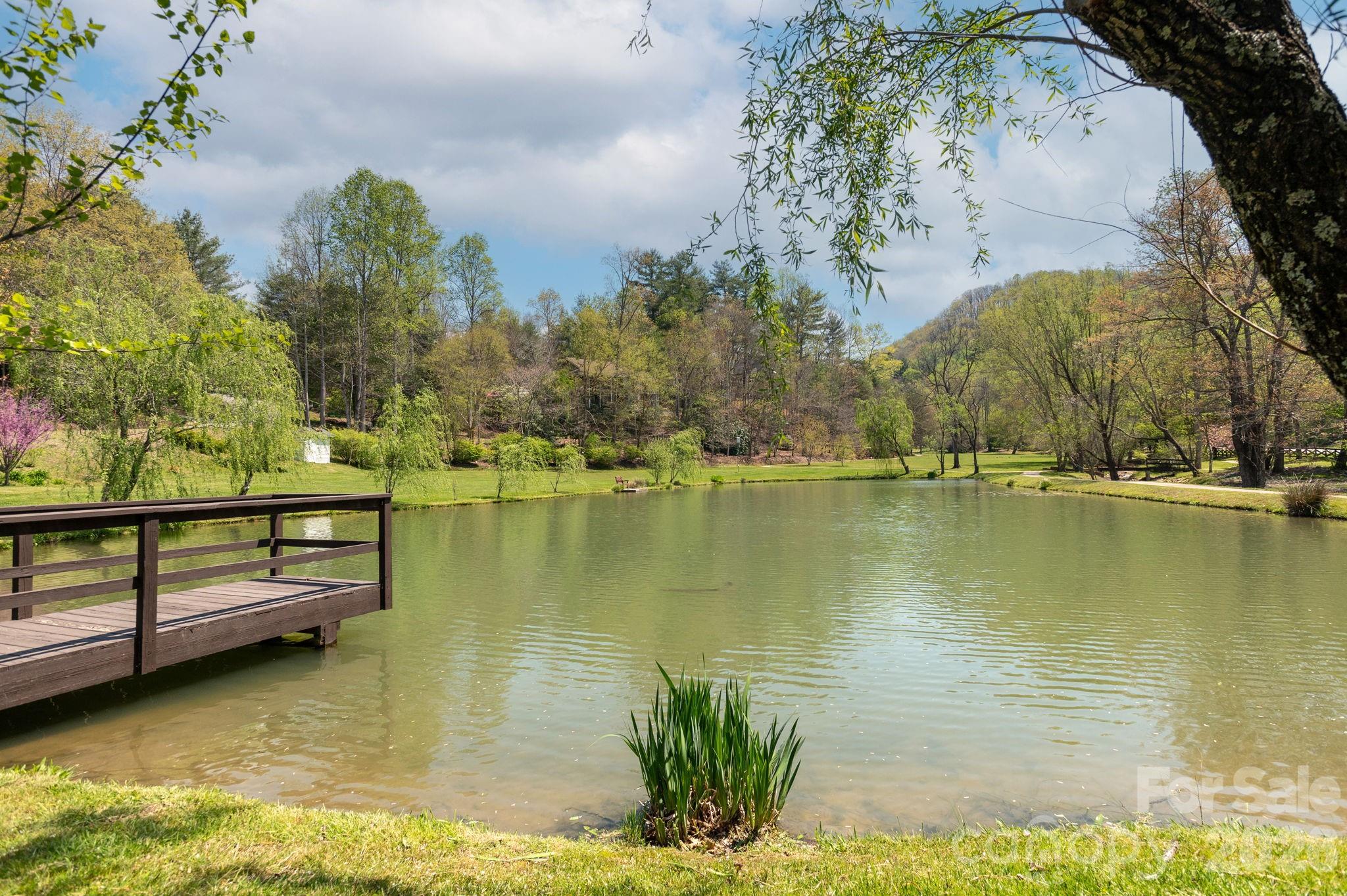 28 Tudor Crescent Court — Hendersonville
