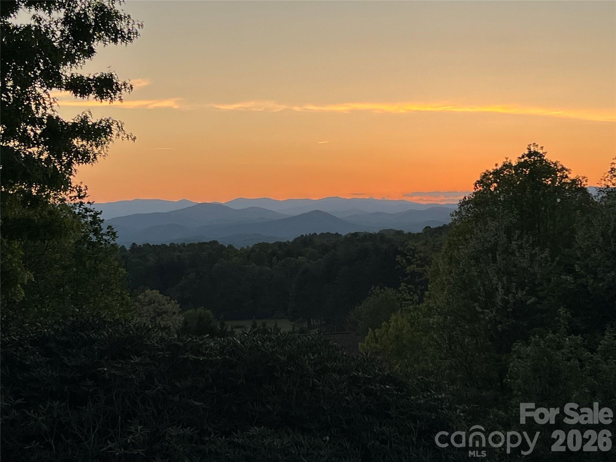 28 Tudor Crescent Court — Hendersonville