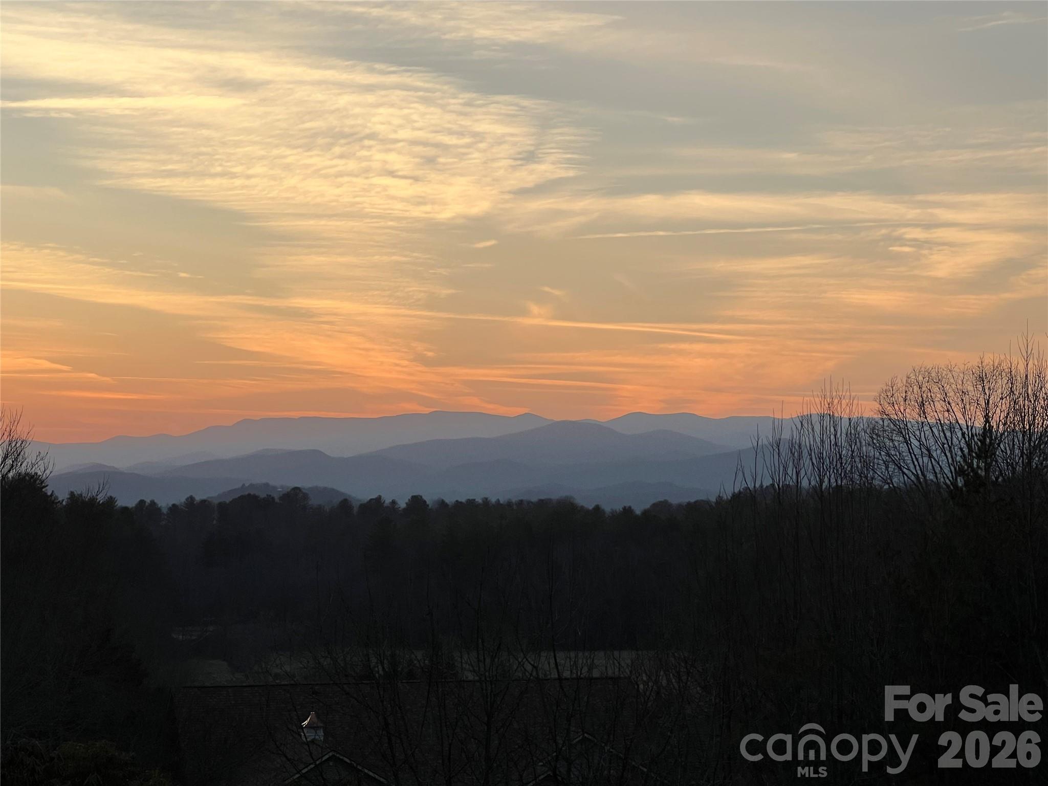 28 Tudor Crescent Court — Hendersonville
