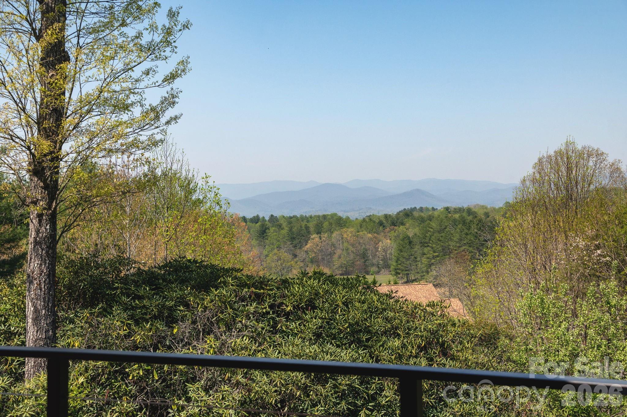 28 Tudor Crescent Court — Hendersonville