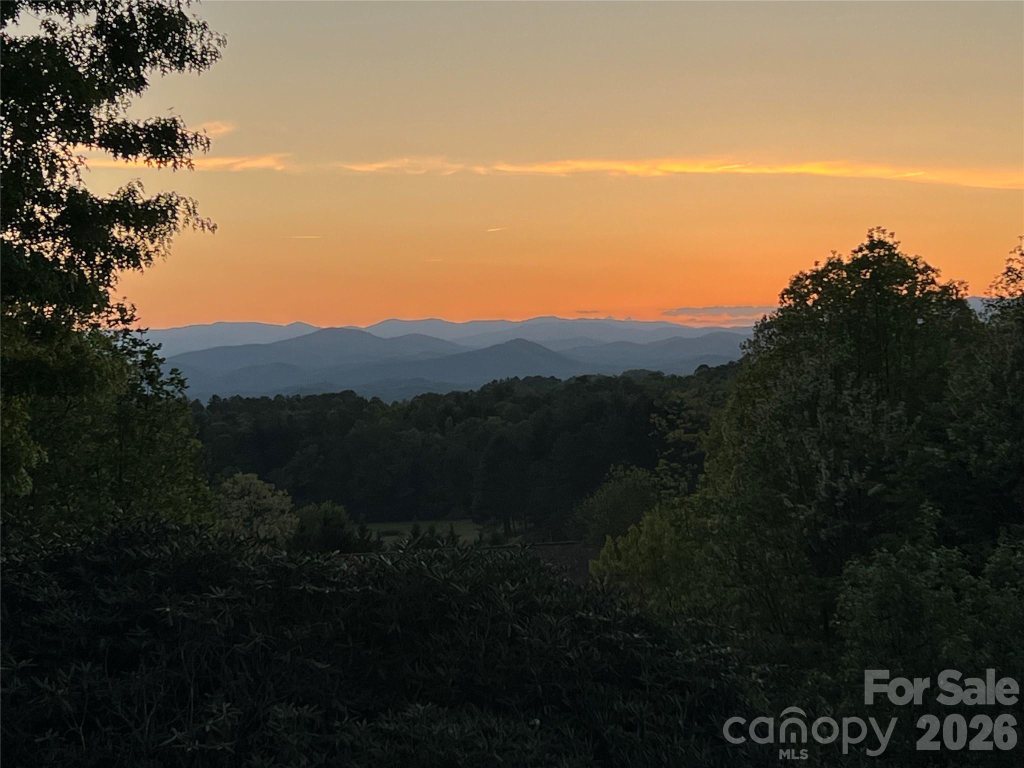 28 Tudor Crescent Court — Hendersonville