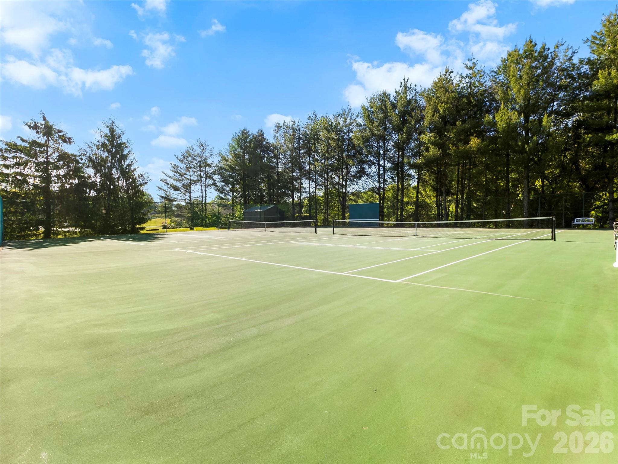2303 Deermouse Way — Hendersonville