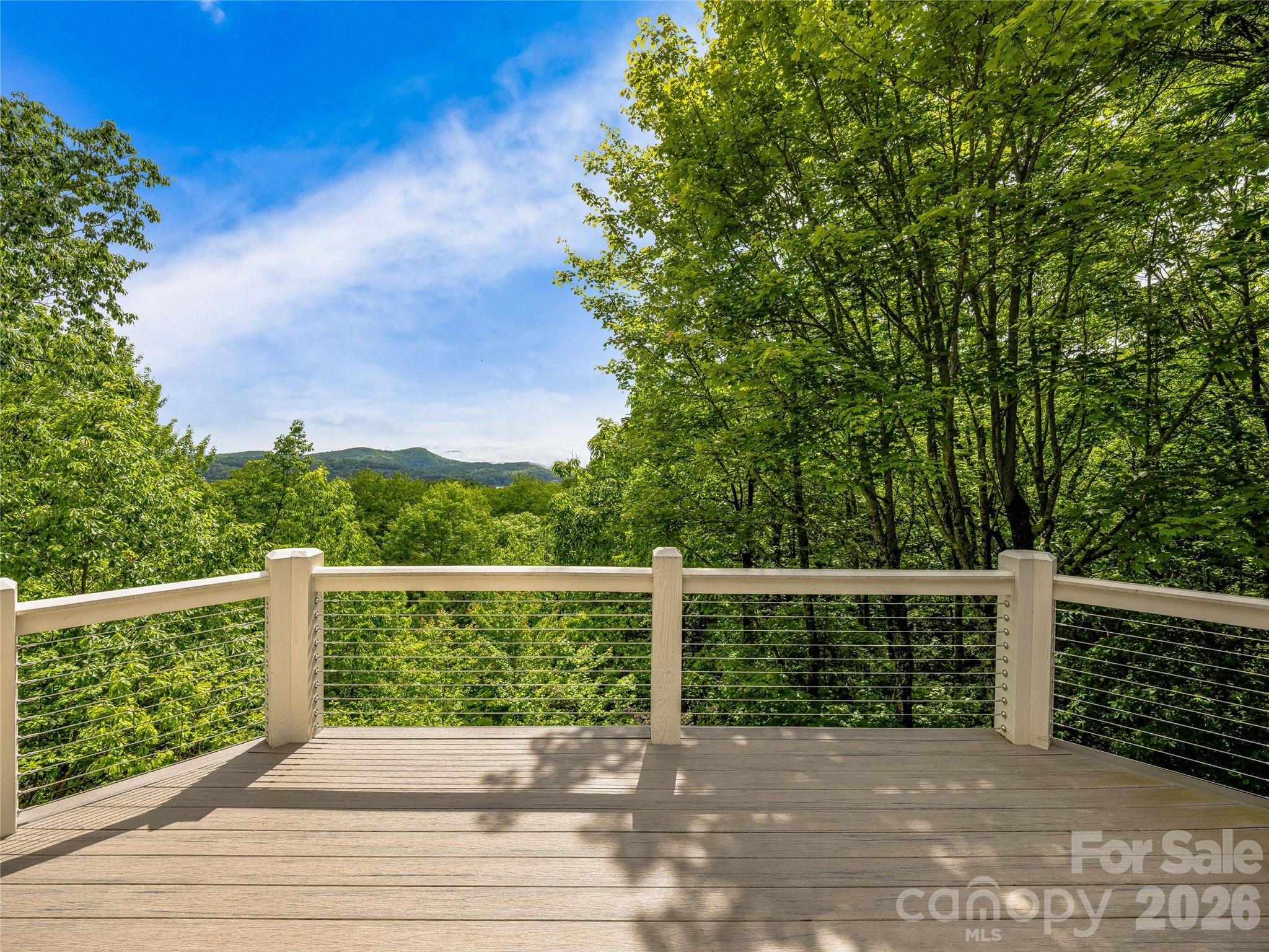 251 Toxaway Court — Lake Toxaway