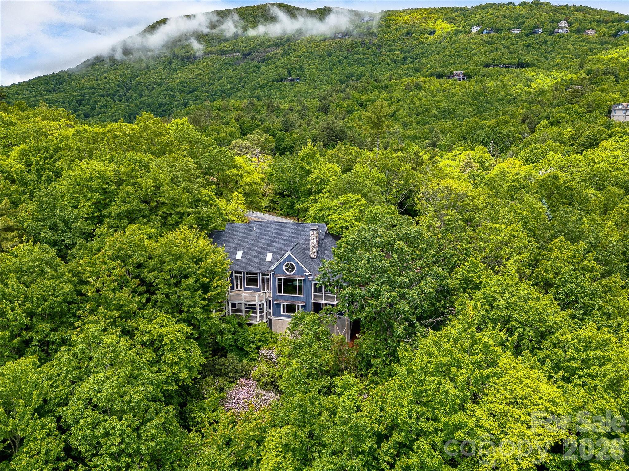 251 Toxaway Court — Lake Toxaway