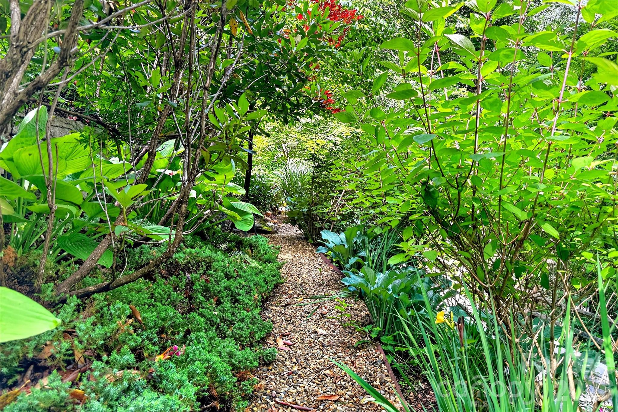238 Texas Spur Road — Montreat