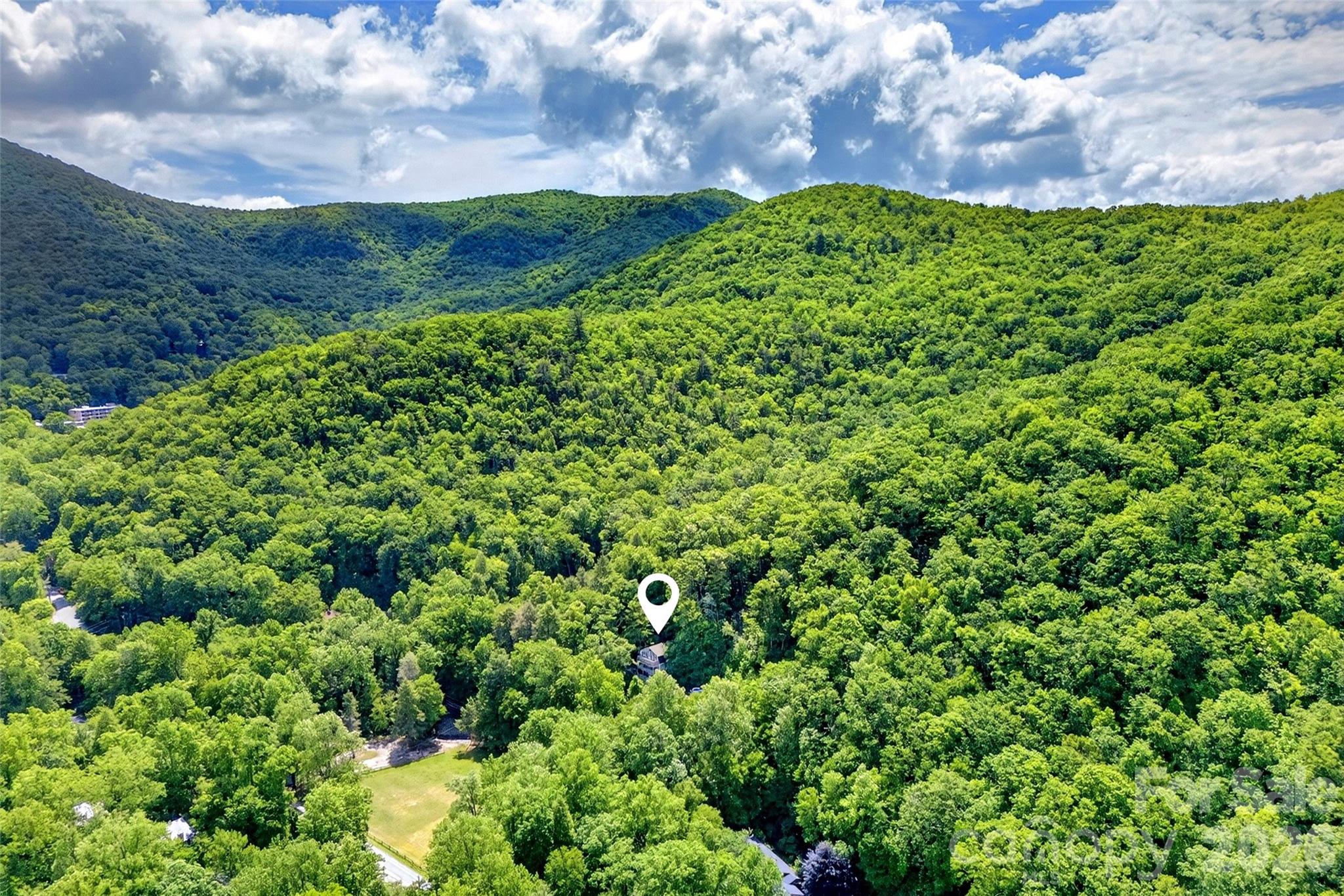238 Texas Spur Road — Montreat