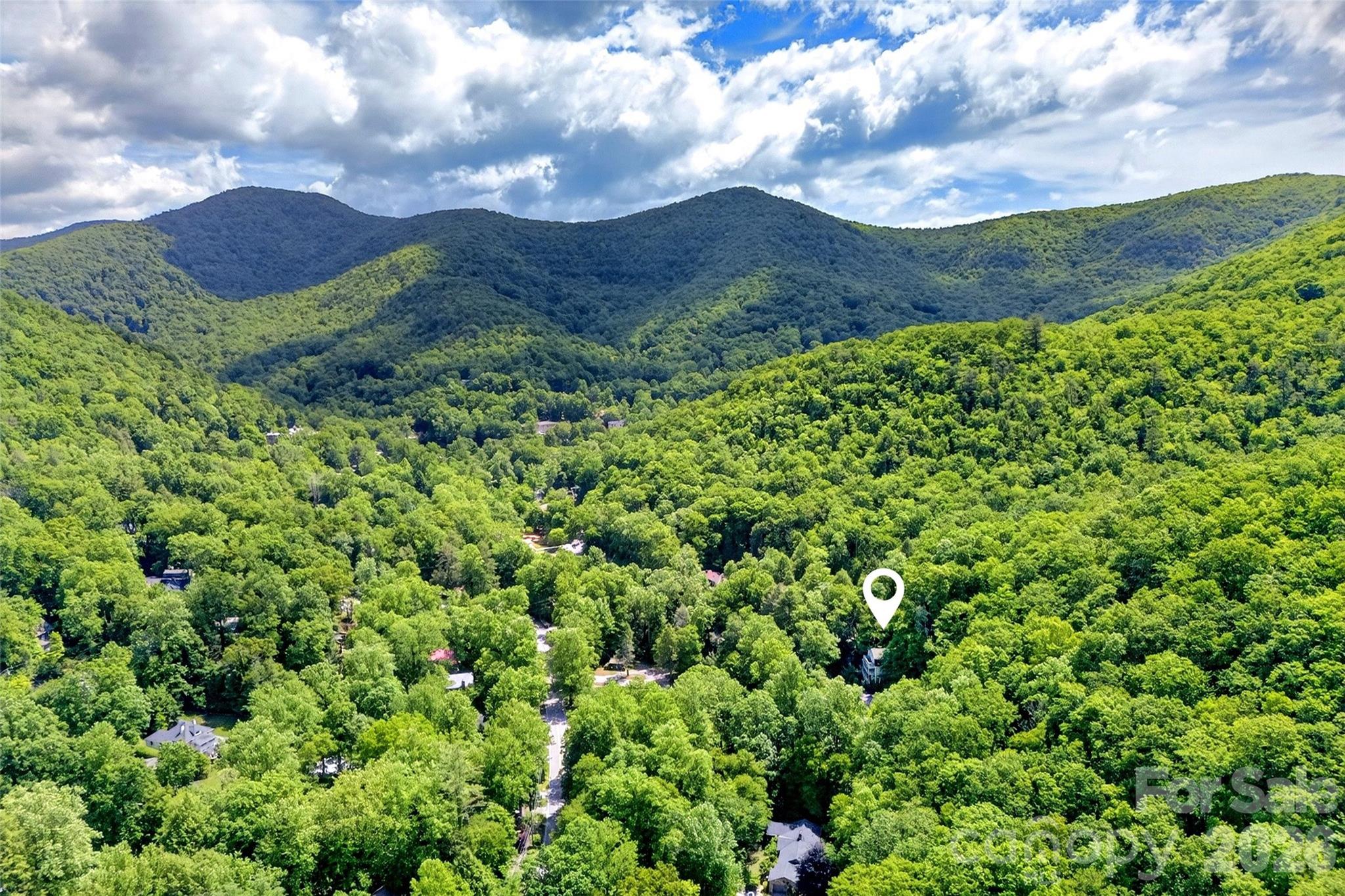 238 Texas Spur Road — Montreat