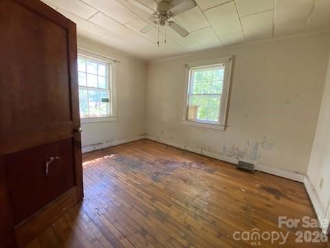 413 Rice Street — Hamlet