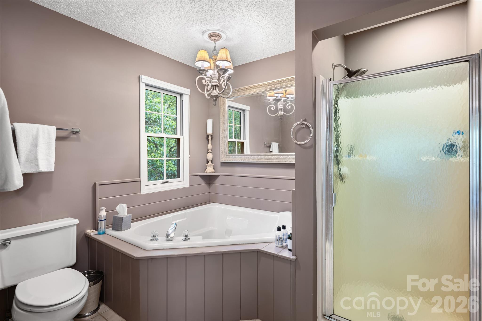 560 Toxaway Court — Lake Toxaway