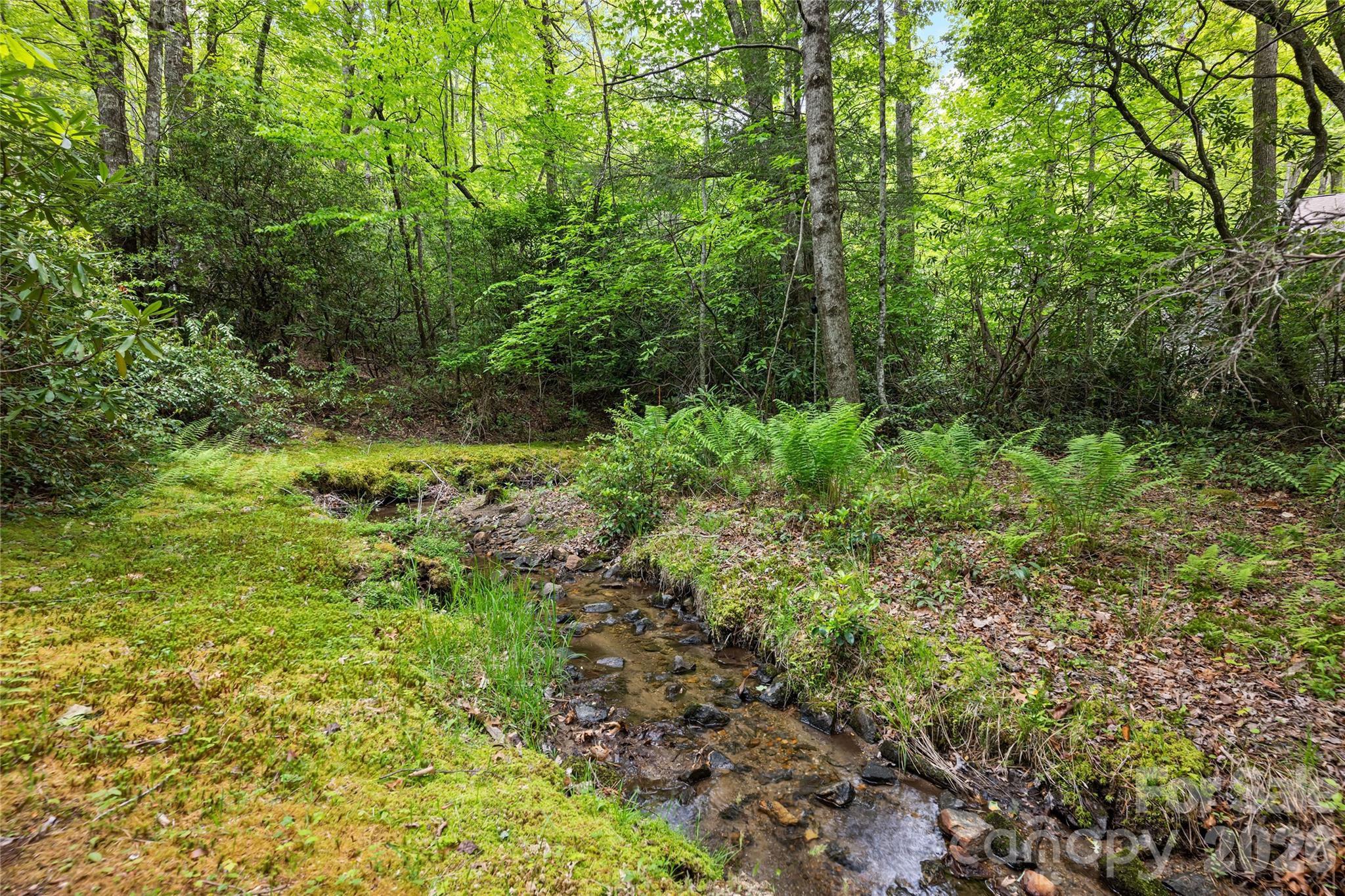 560 Toxaway Court — Lake Toxaway