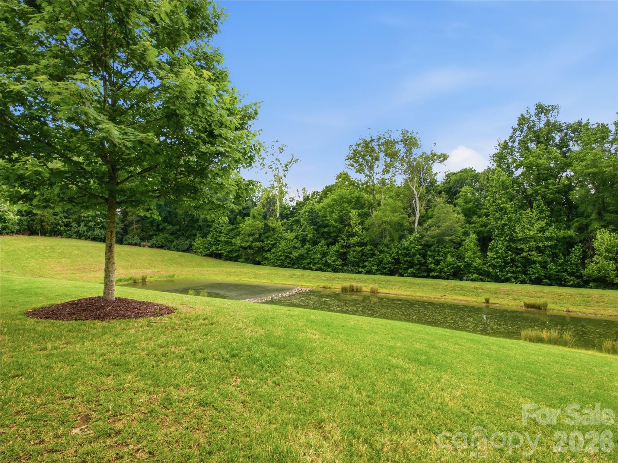 13034 Horned Lark Drive — Charlotte