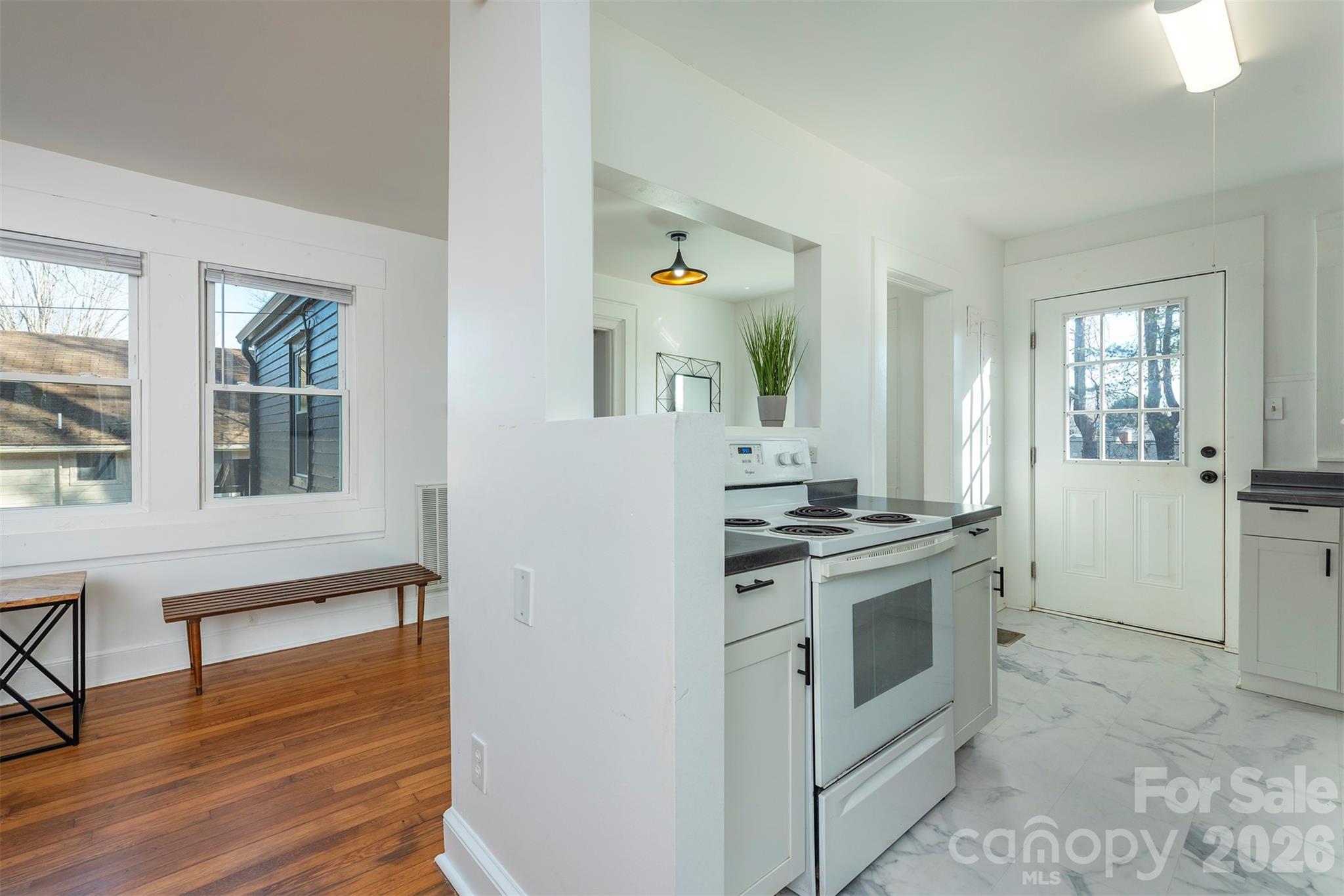 17 Springdale Avenue — Asheville