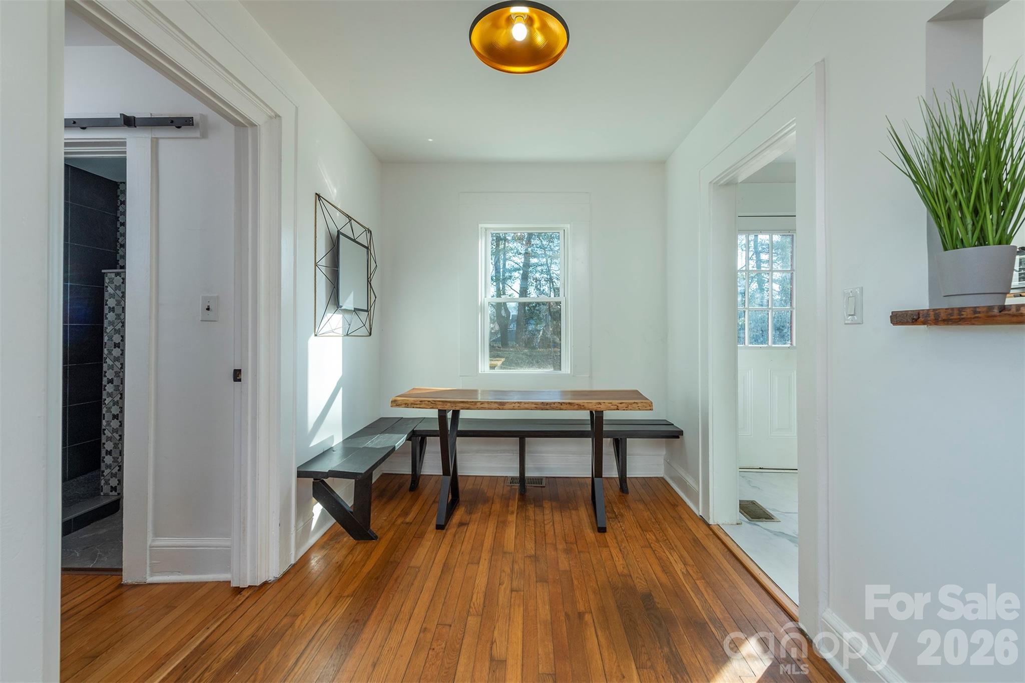 17 Springdale Avenue — Asheville