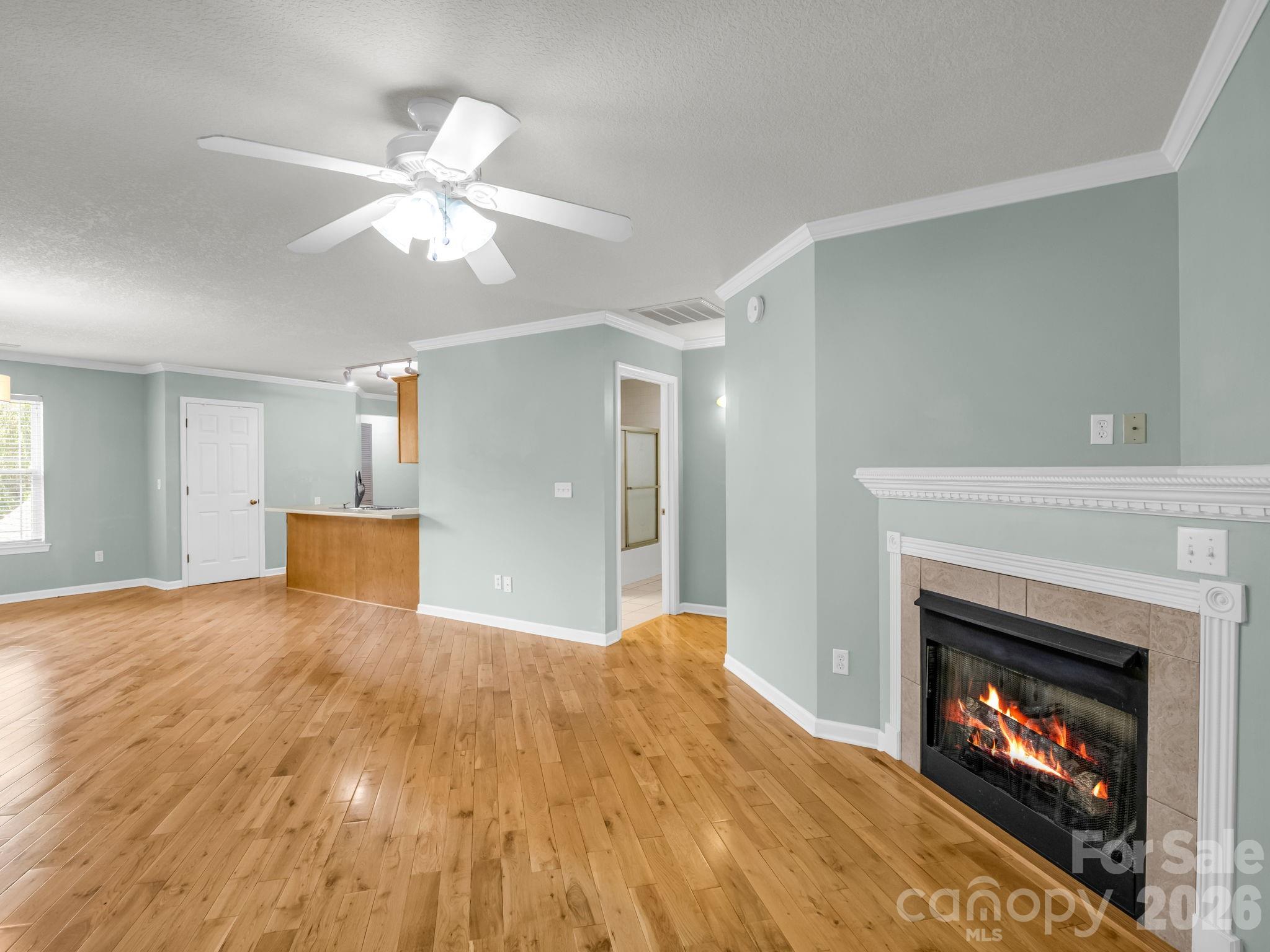 4 Rathfarnham Road #4F — Asheville