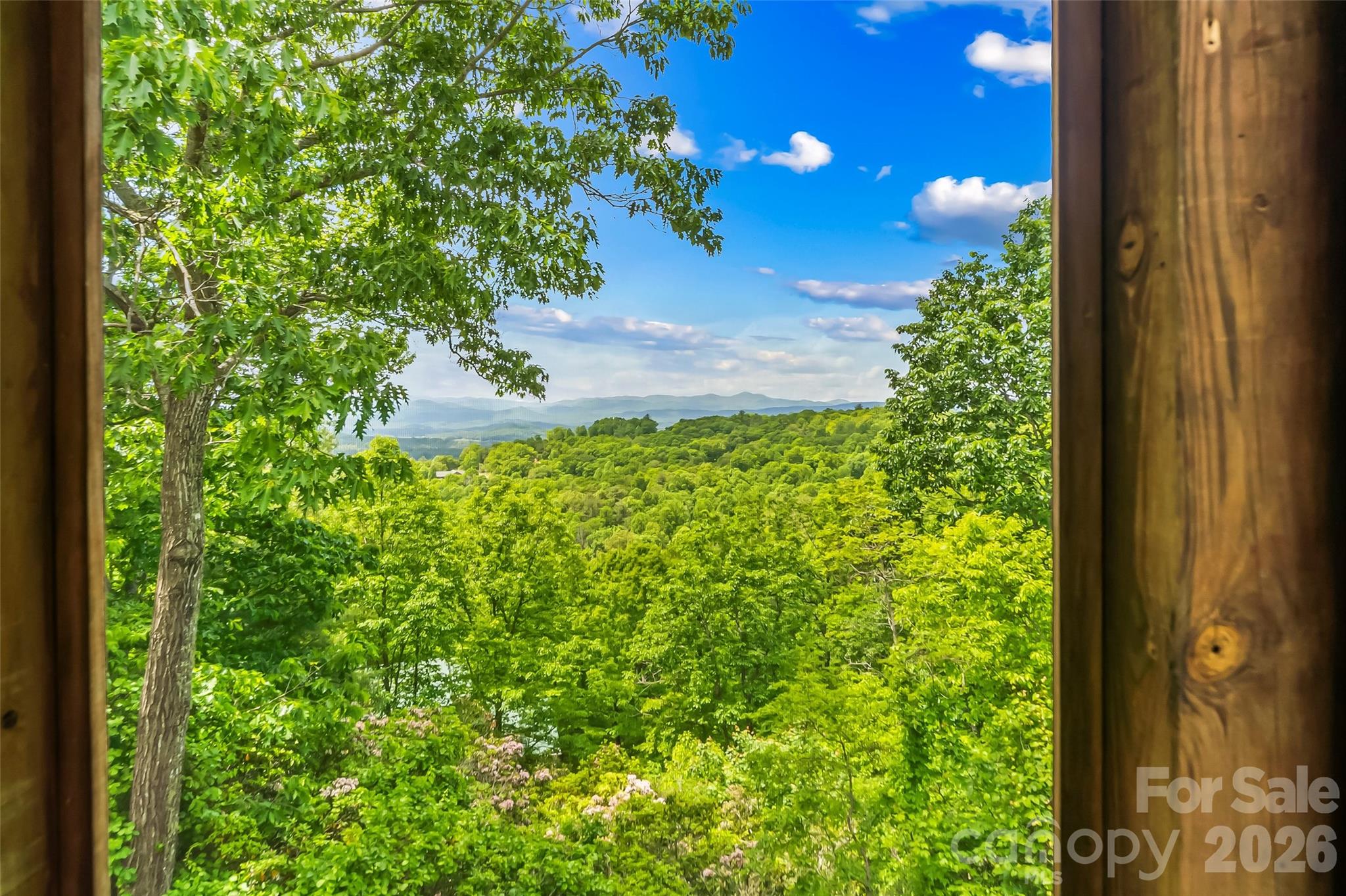 120 Eagle Rock Trail — Hendersonville
