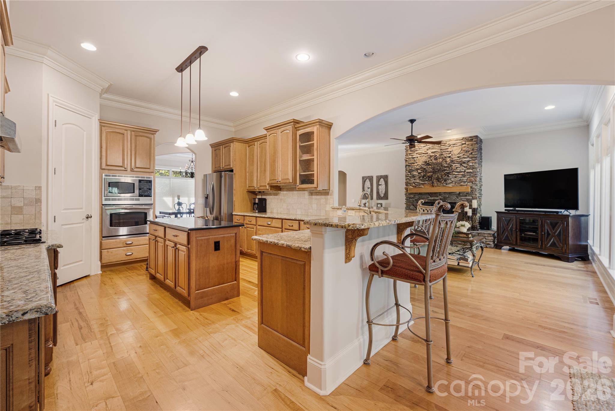 3946 Lake Spring Cove Court — Denver