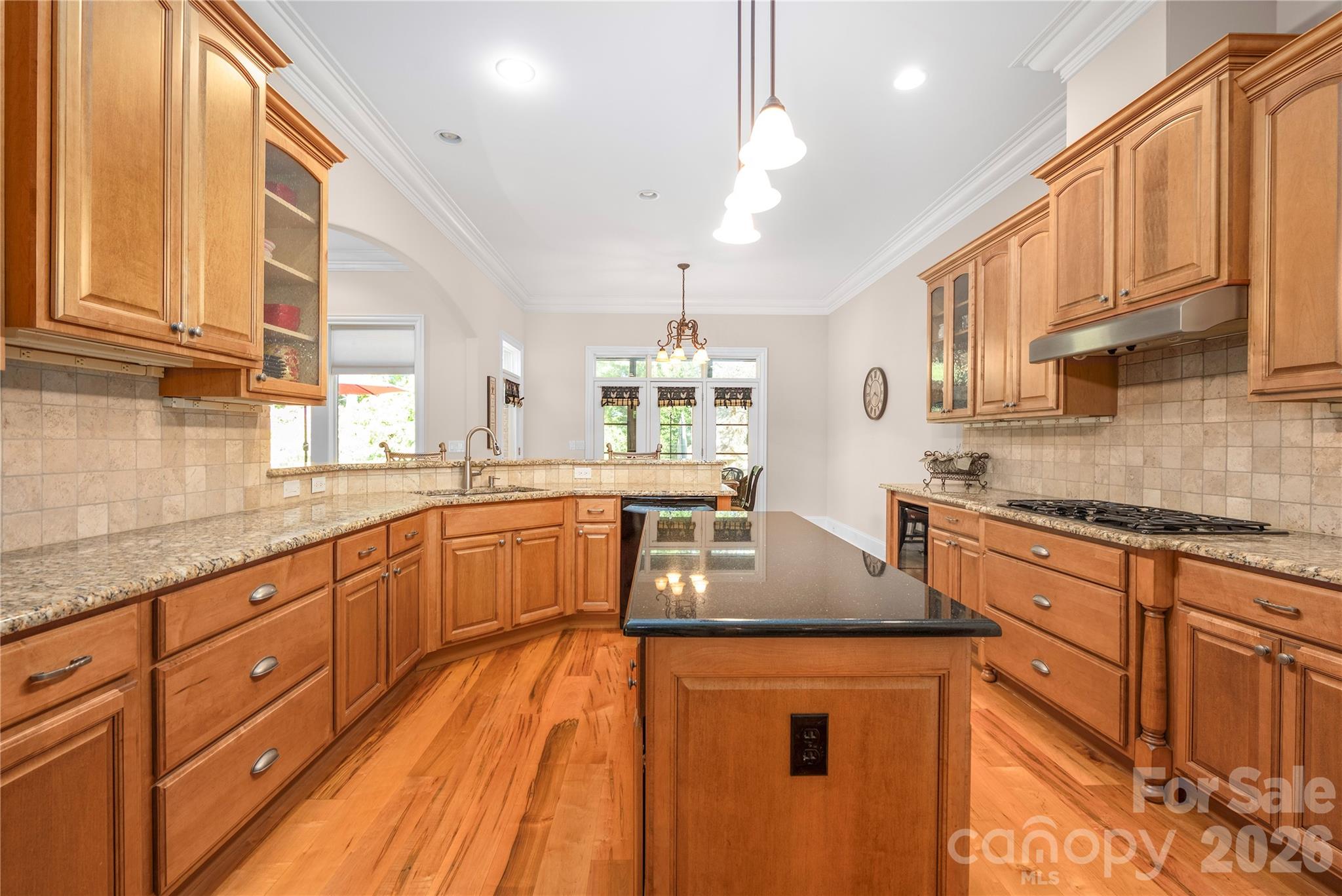 3946 Lake Spring Cove Court — Denver