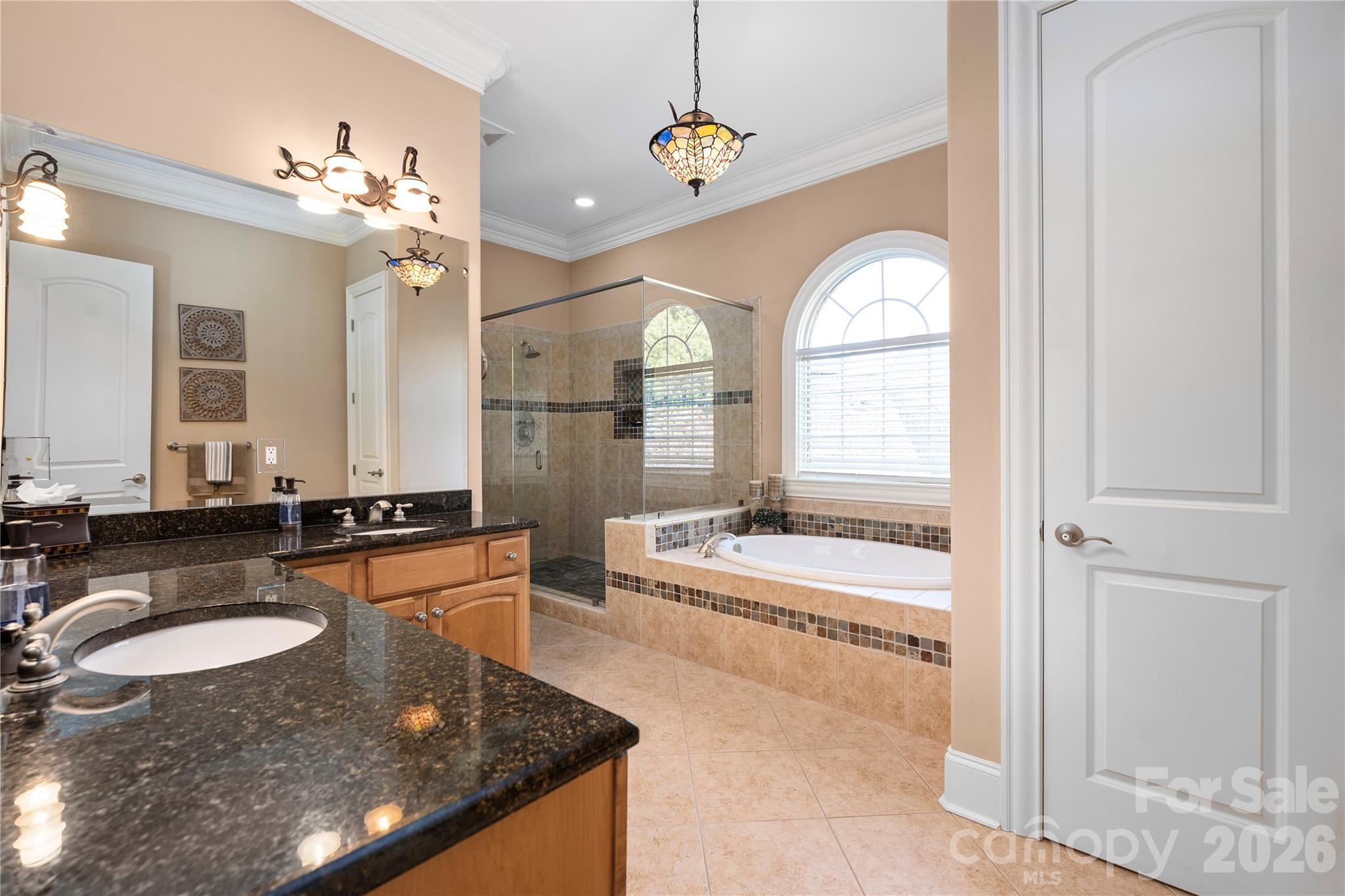 3946 Lake Spring Cove Court — Denver