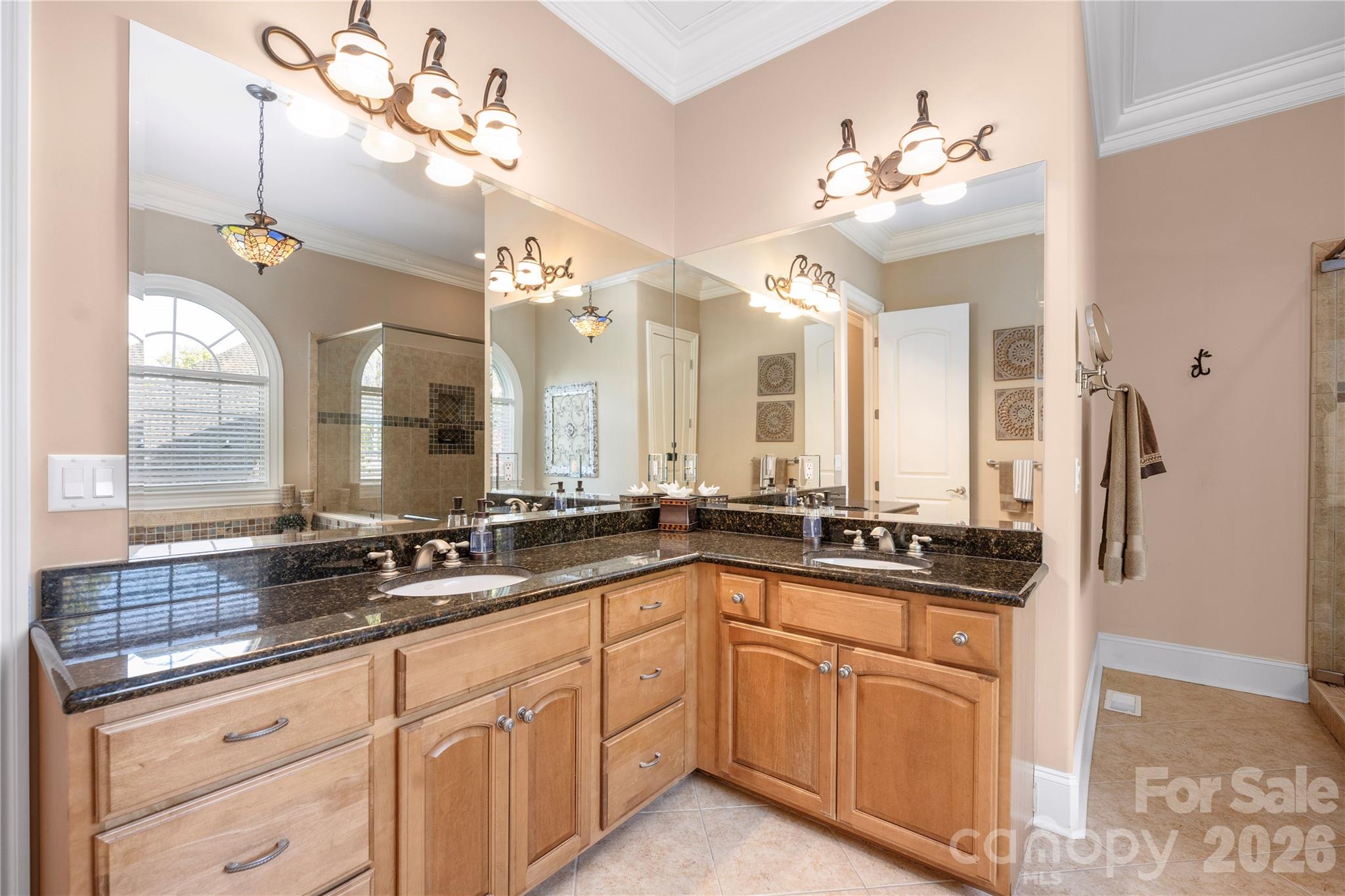 3946 Lake Spring Cove Court — Denver