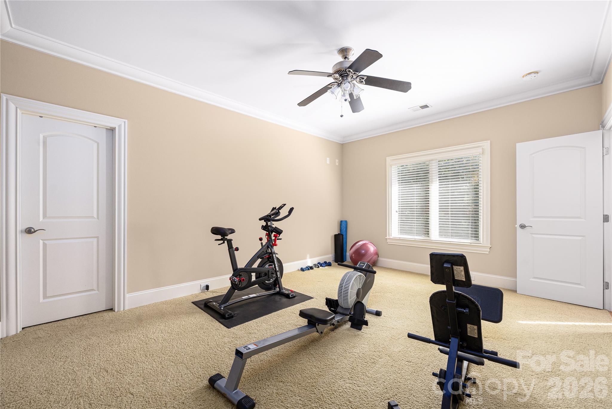 3946 Lake Spring Cove Court — Denver