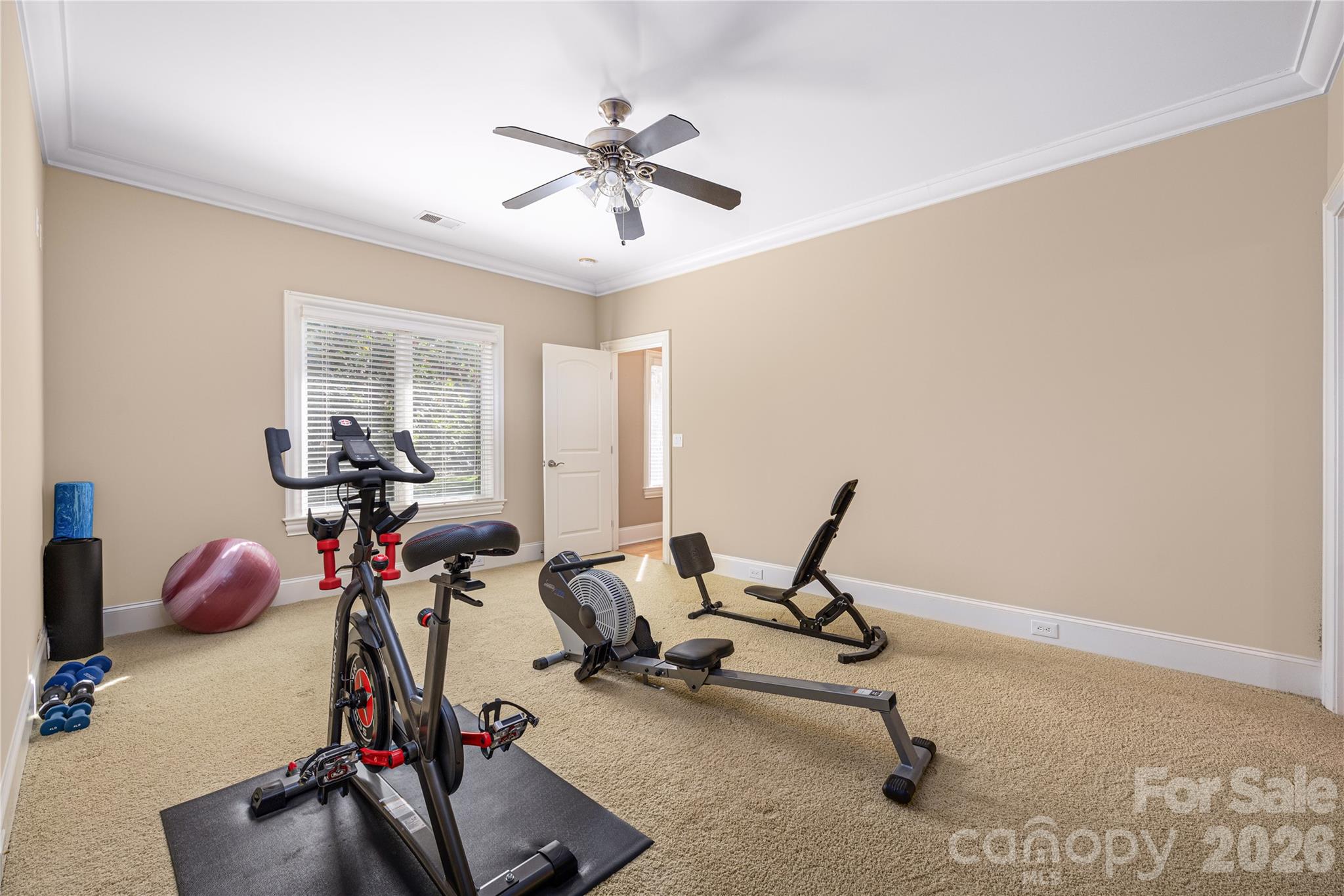 3946 Lake Spring Cove Court — Denver