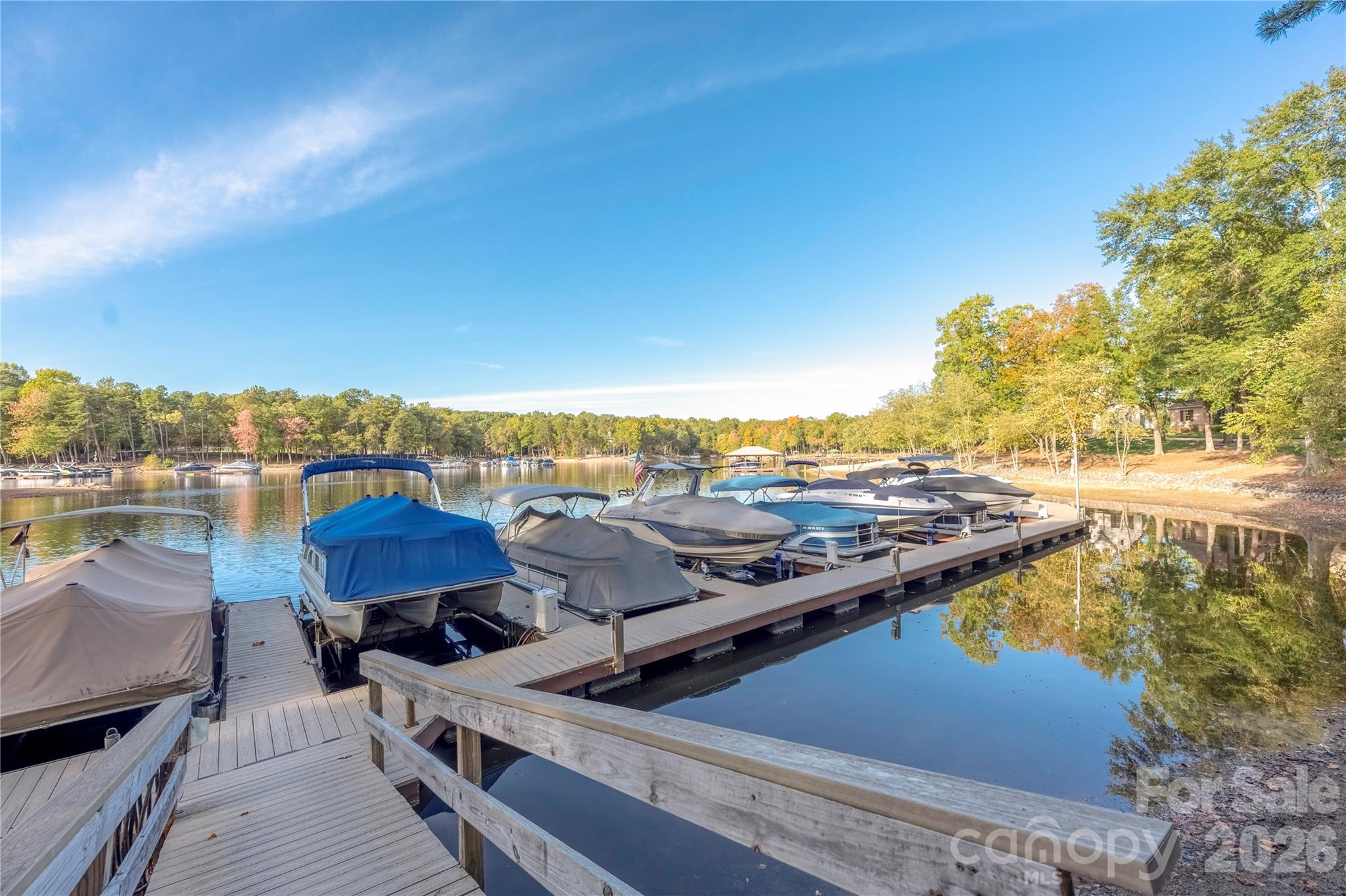 3946 Lake Spring Cove Court — Denver