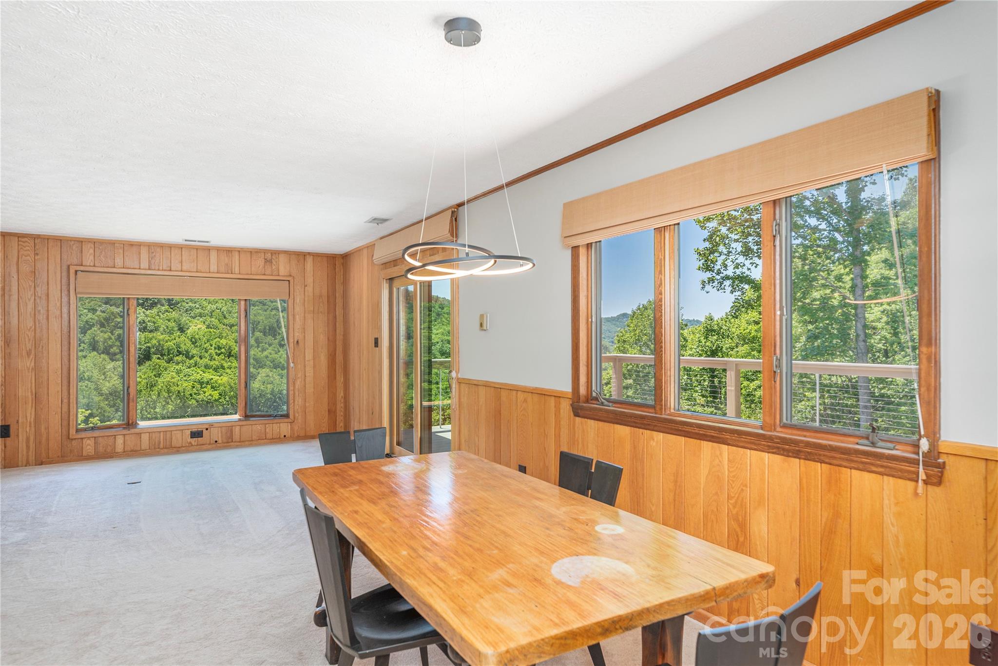 250 Lynn Cove Road — Asheville