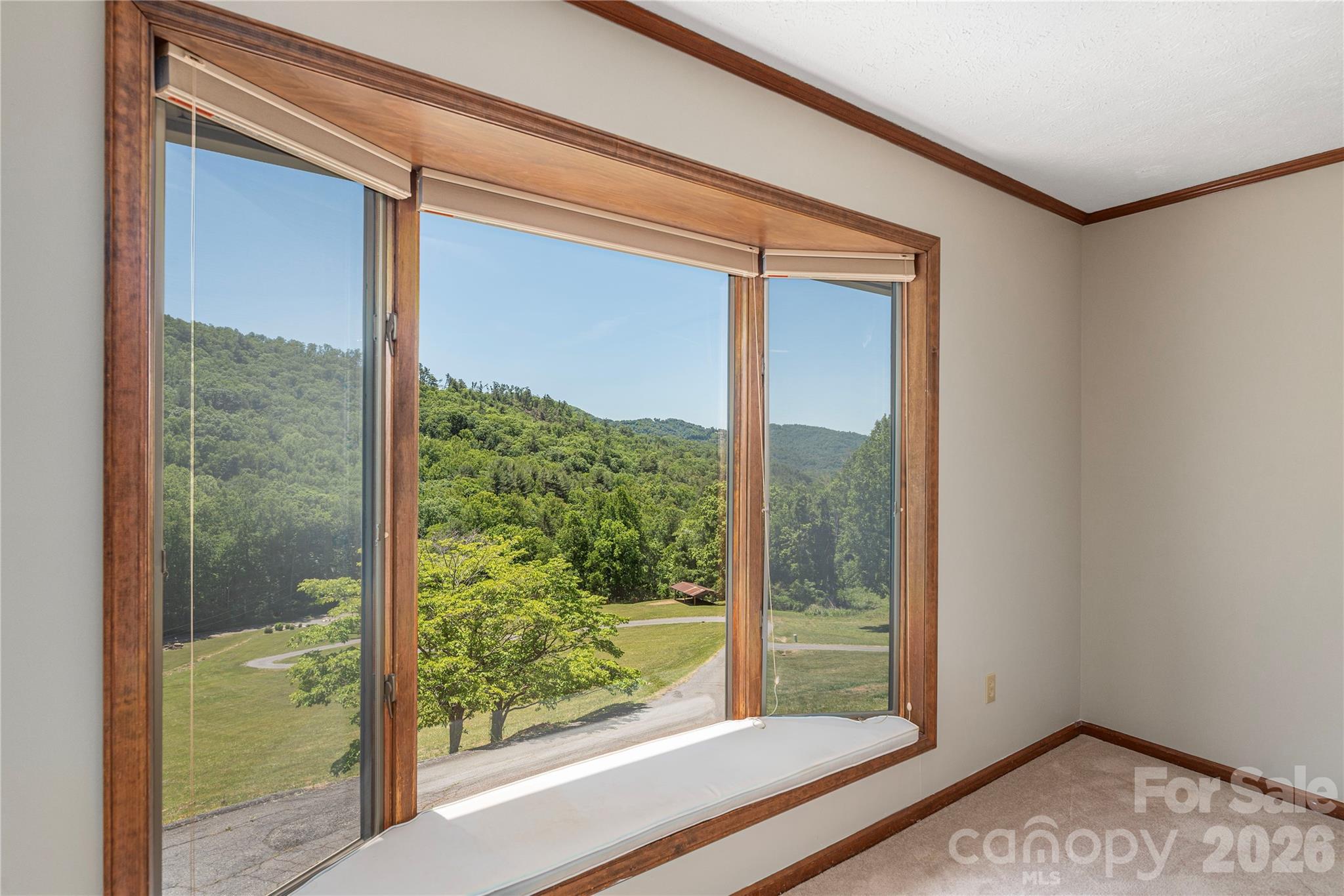 250 Lynn Cove Road — Asheville