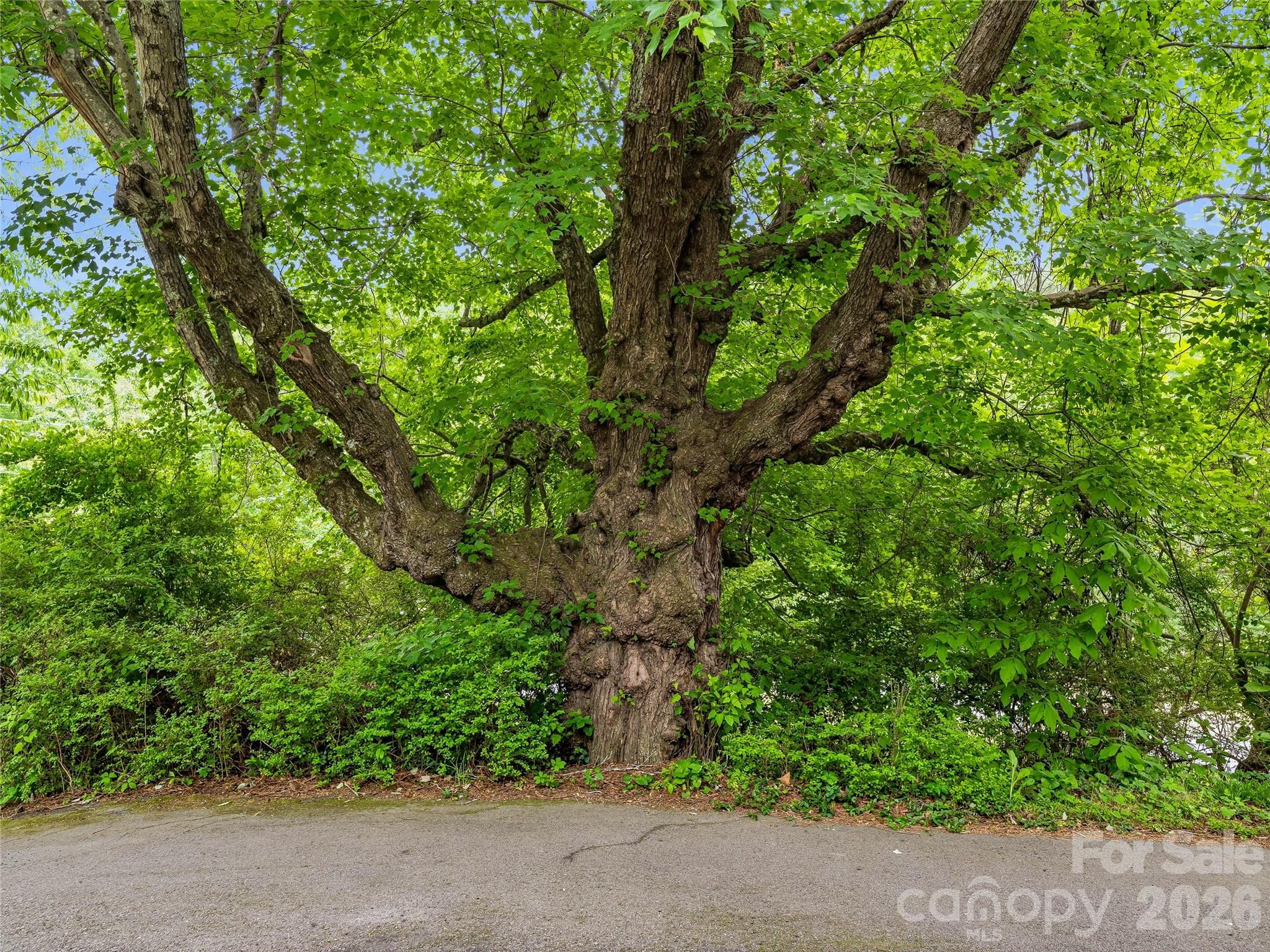 506 Johnston School Road — Asheville
