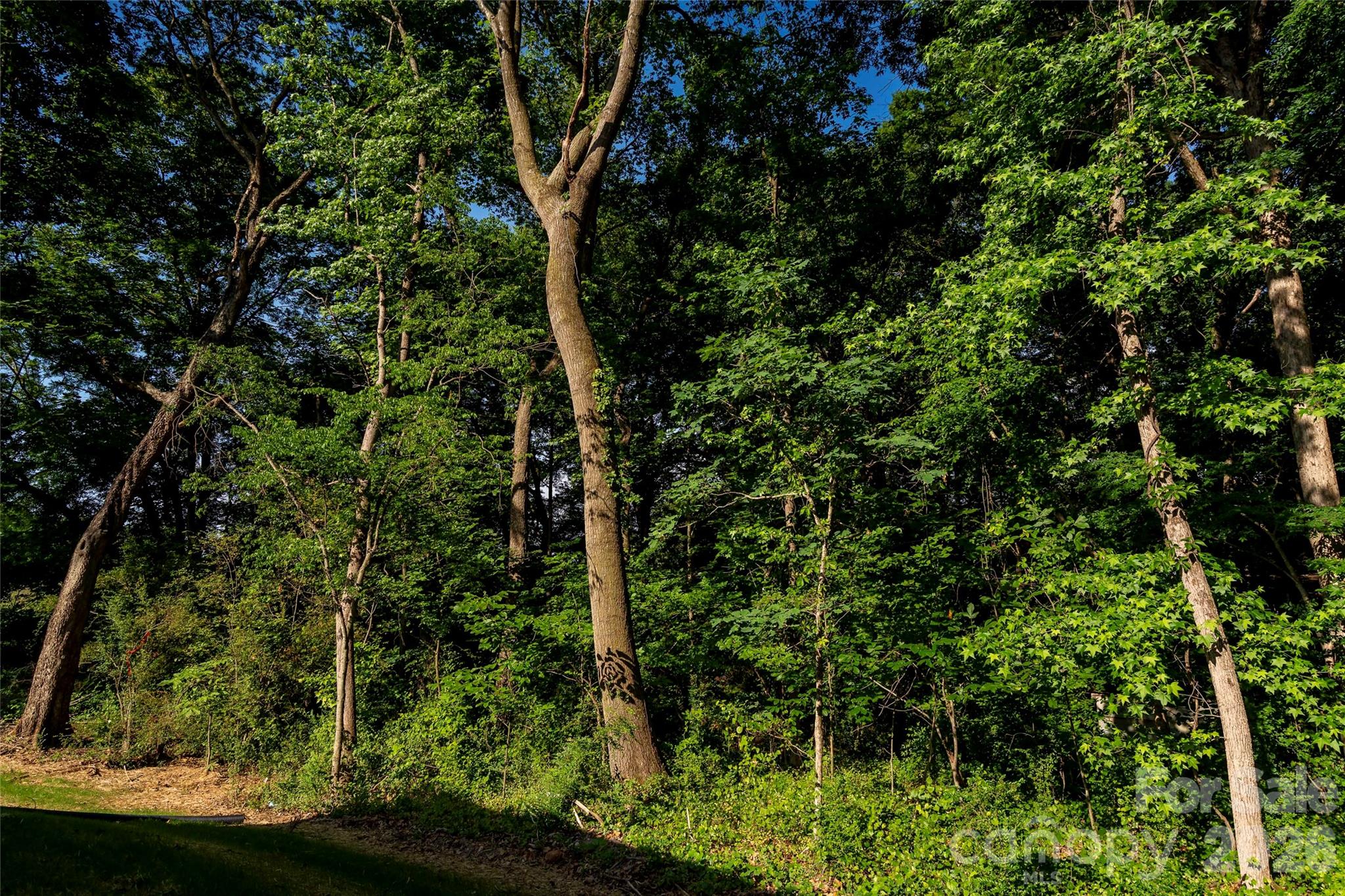 3004 Buffet Lane — Monroe