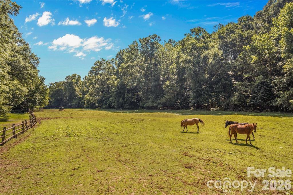 815 French Belk Road — Mt Ulla