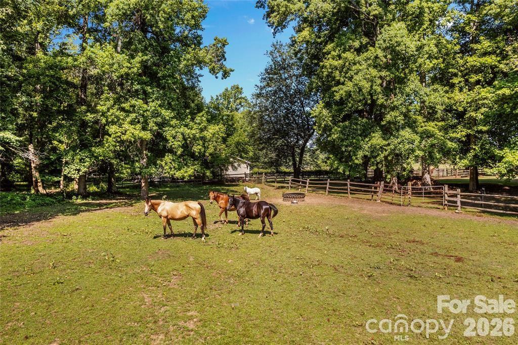 815 French Belk Road — Mt Ulla