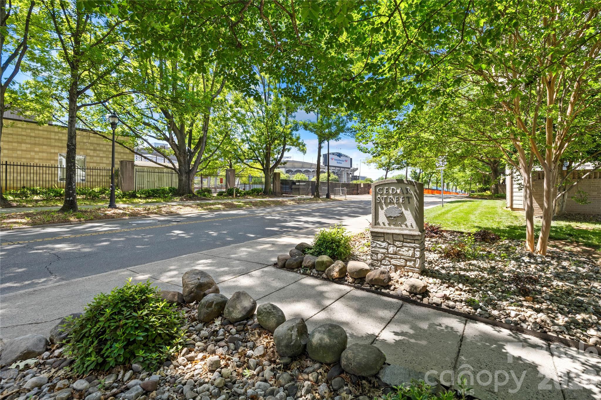 244 S Cedar Street #3 — Charlotte