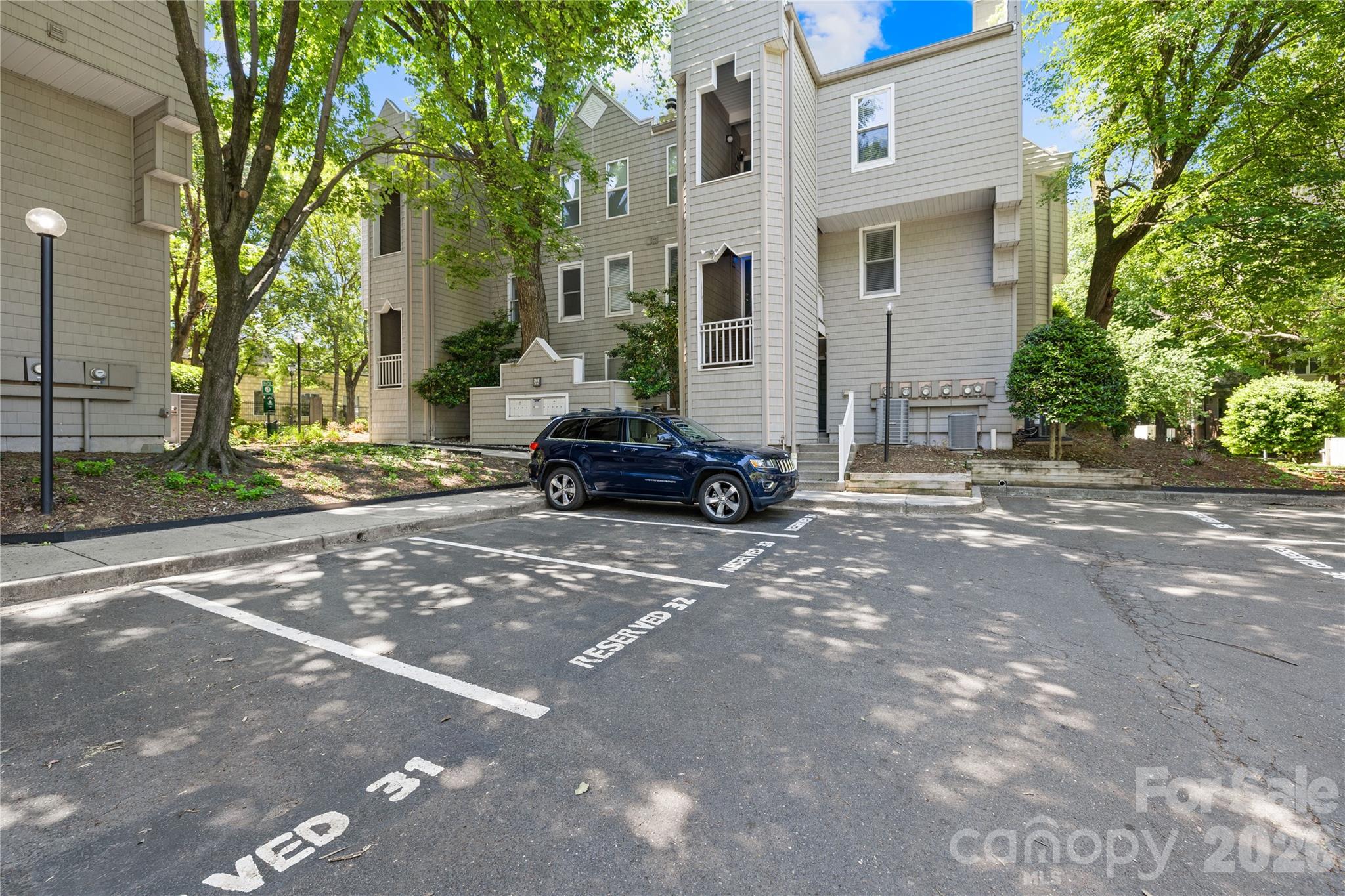 244 S Cedar Street #3 — Charlotte