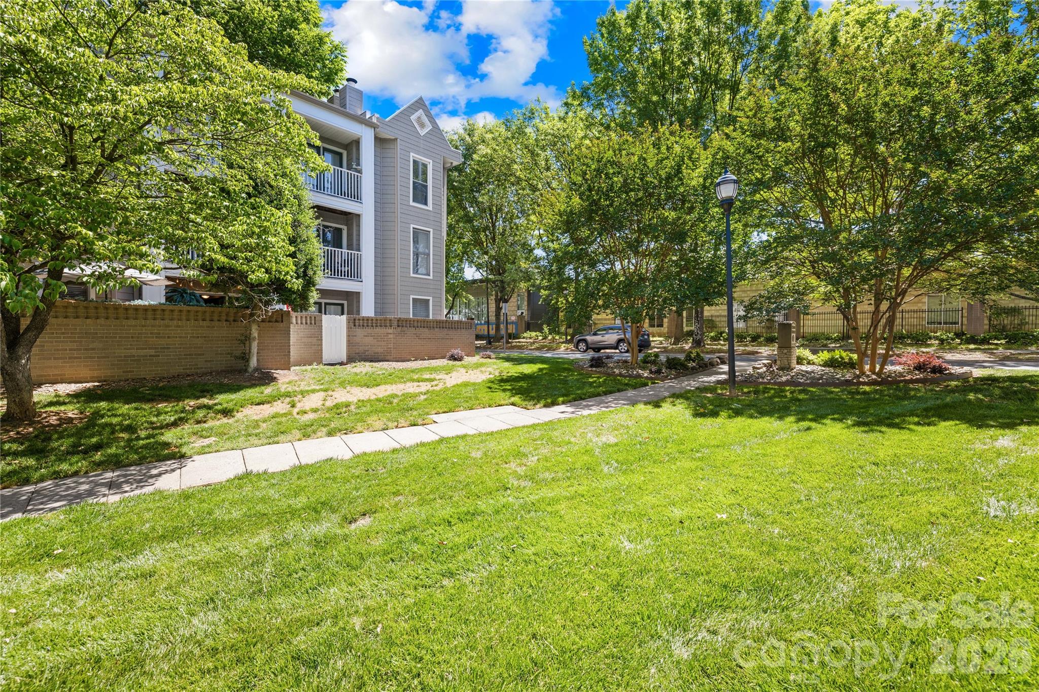 244 S Cedar Street #3 — Charlotte