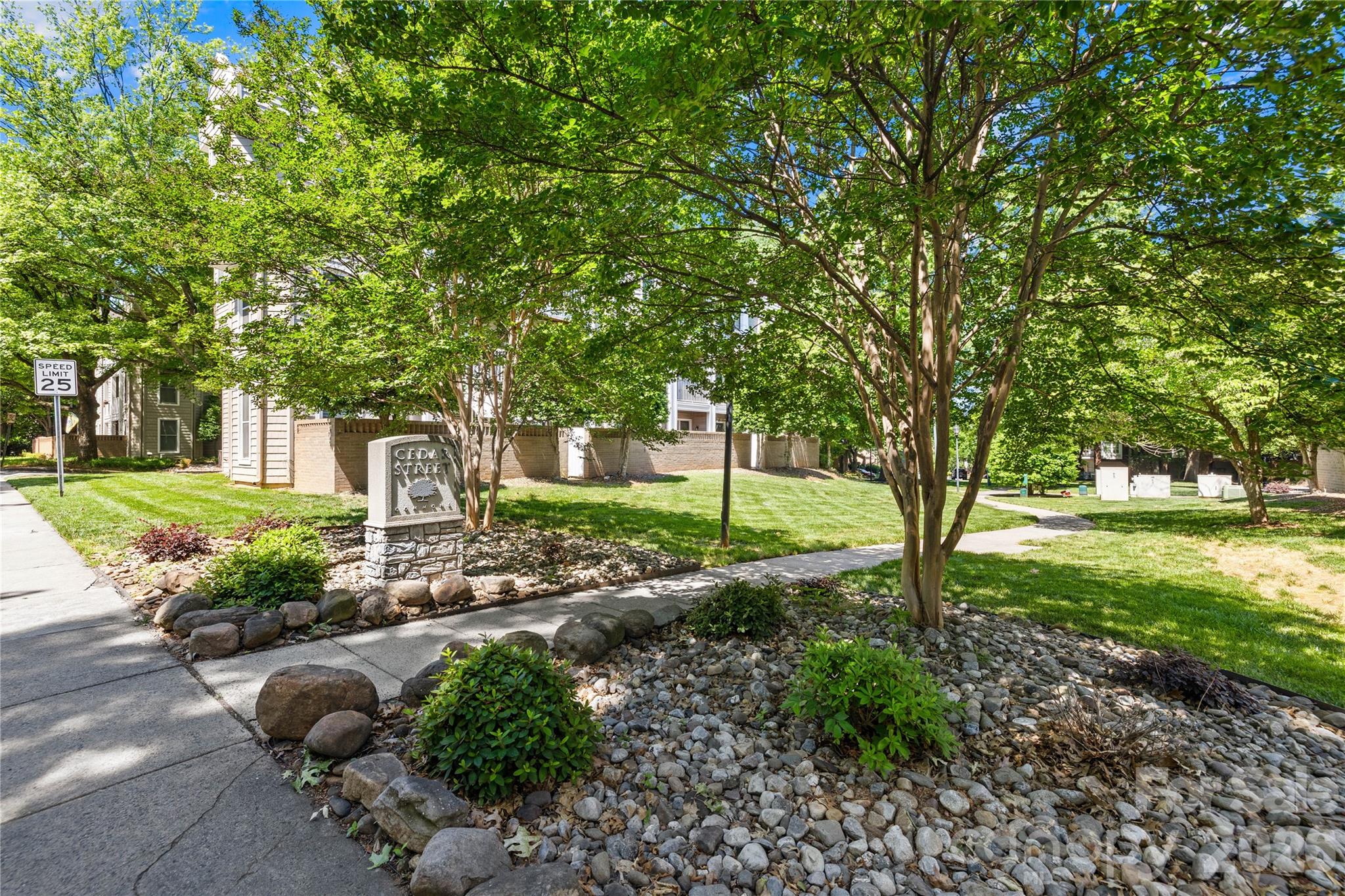 244 S Cedar Street #3 — Charlotte