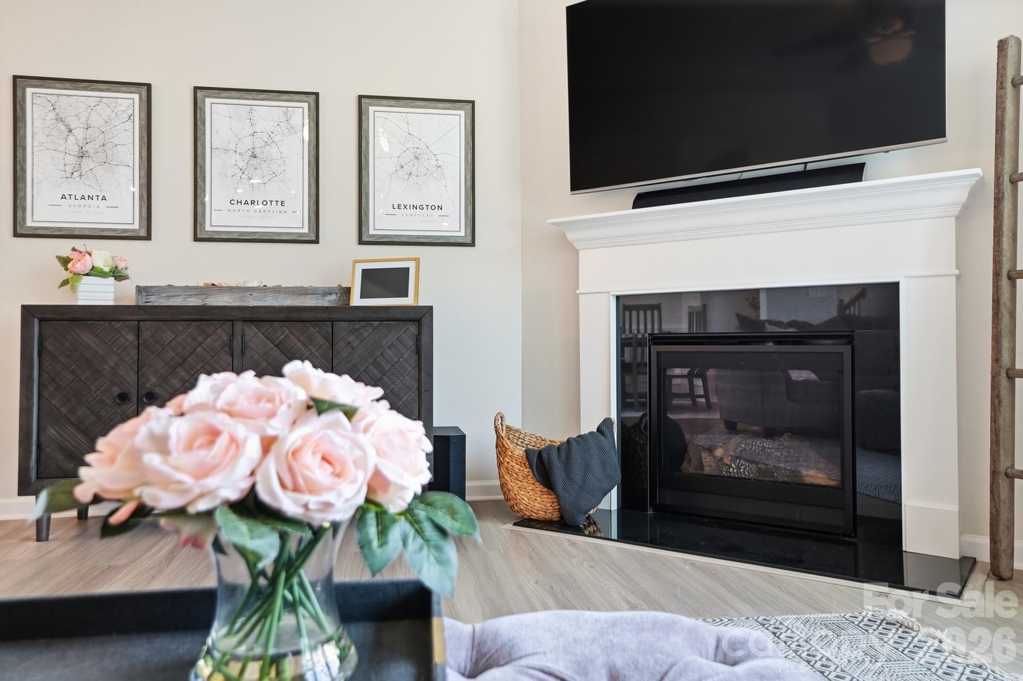16732 Cozy Cove Road — Charlotte